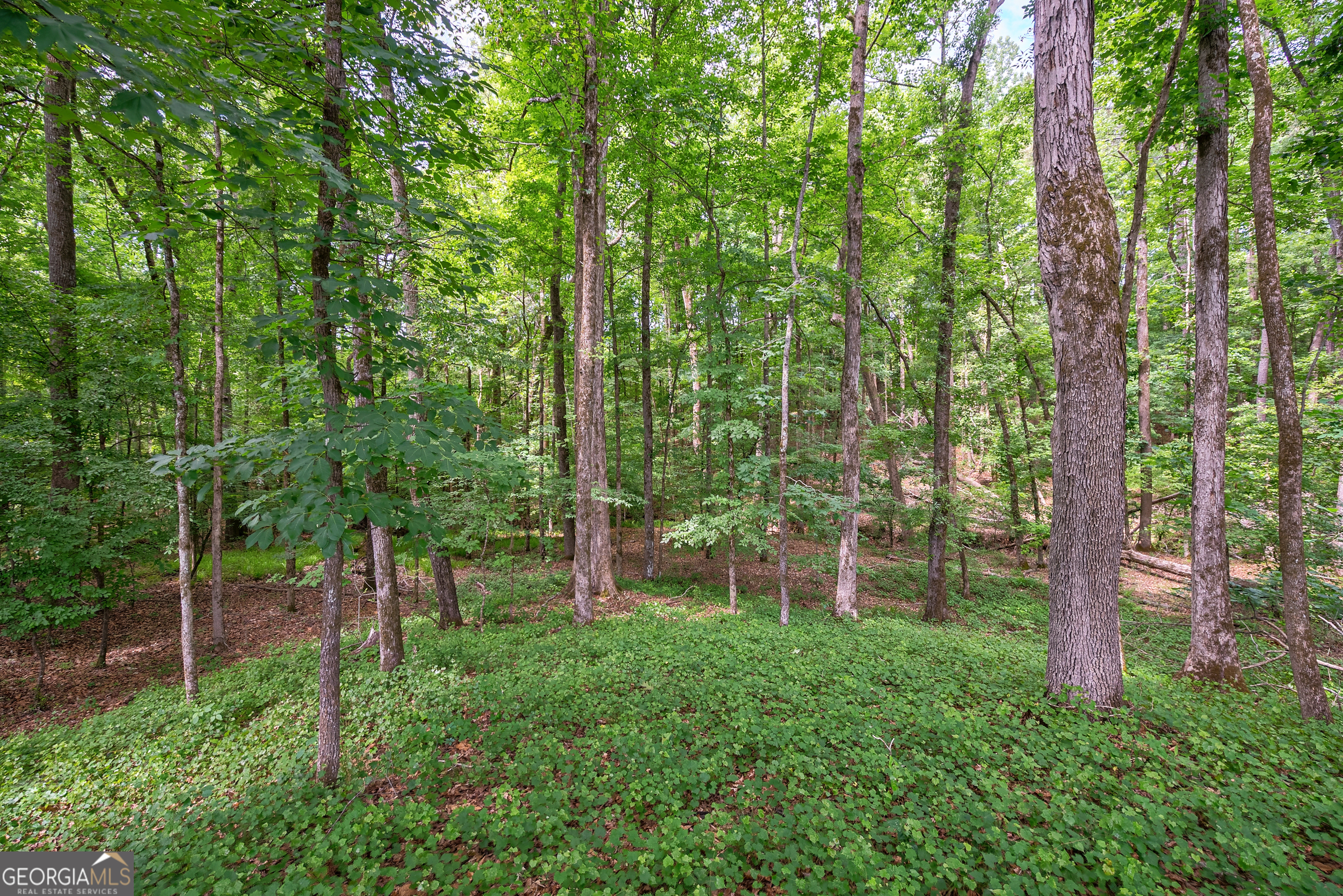 0 Gene Smith Road Property Photo 19