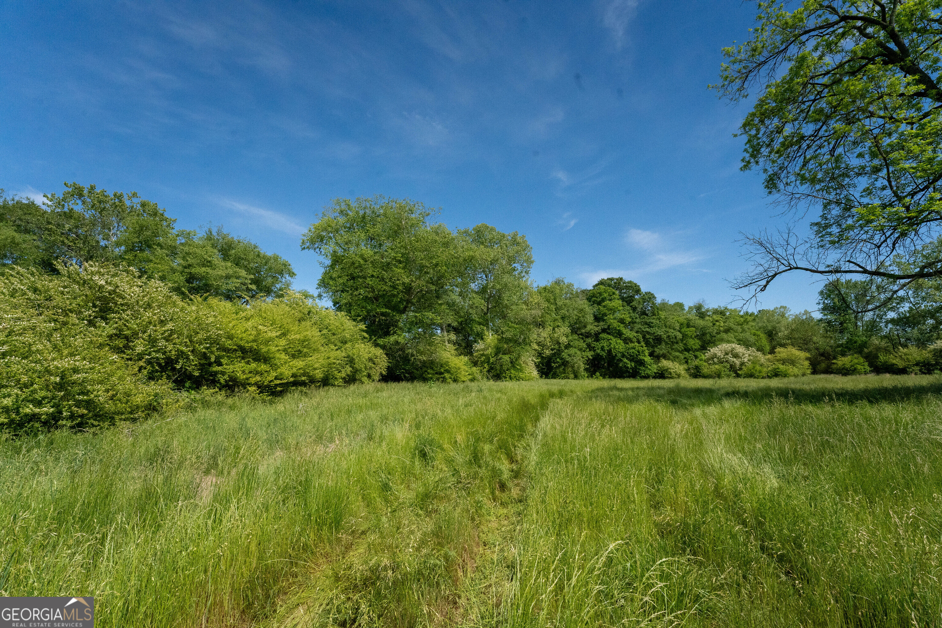 1825 Groaning Rock Road Property Photo 11