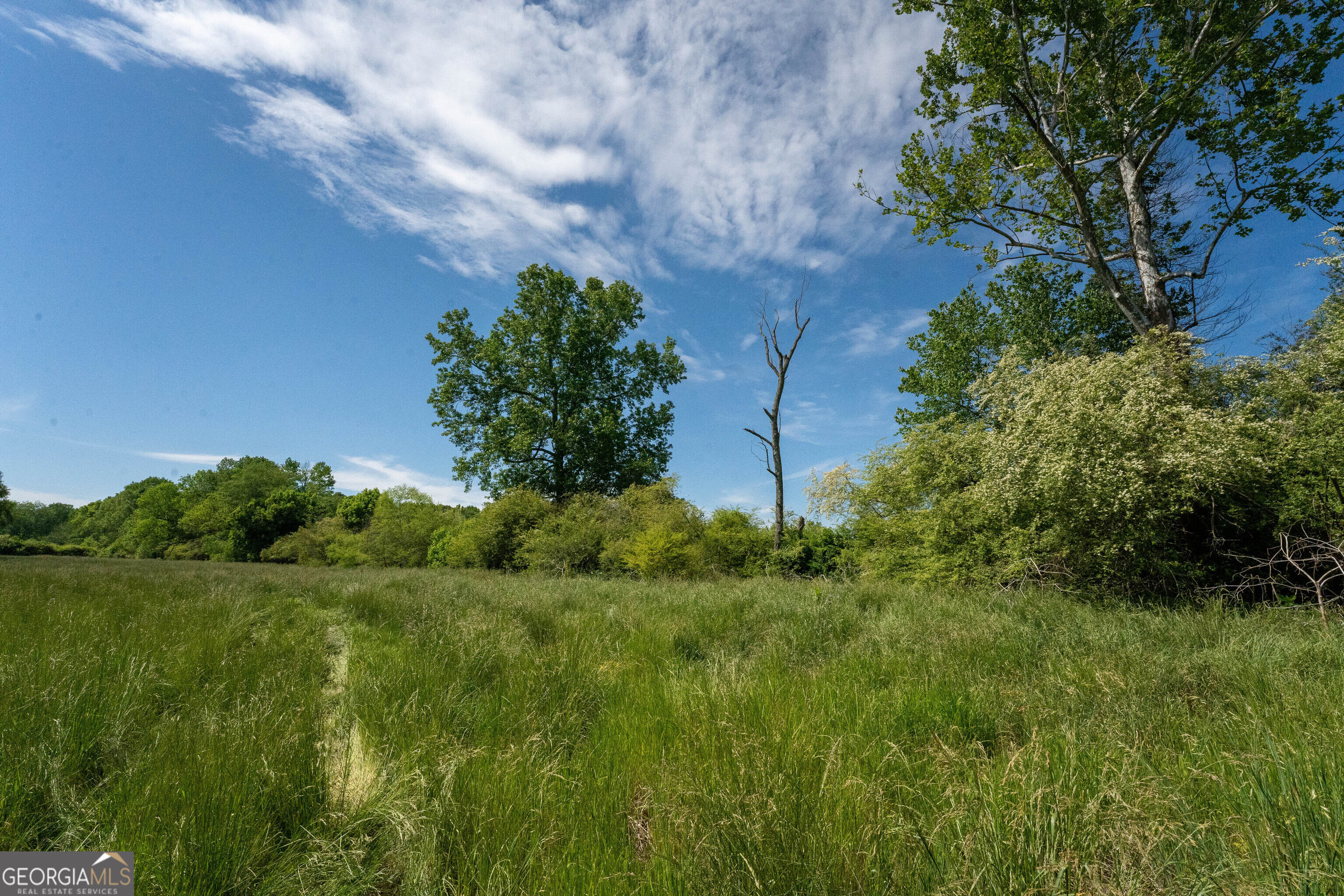 1825 Groaning Rock Road Property Photo 13