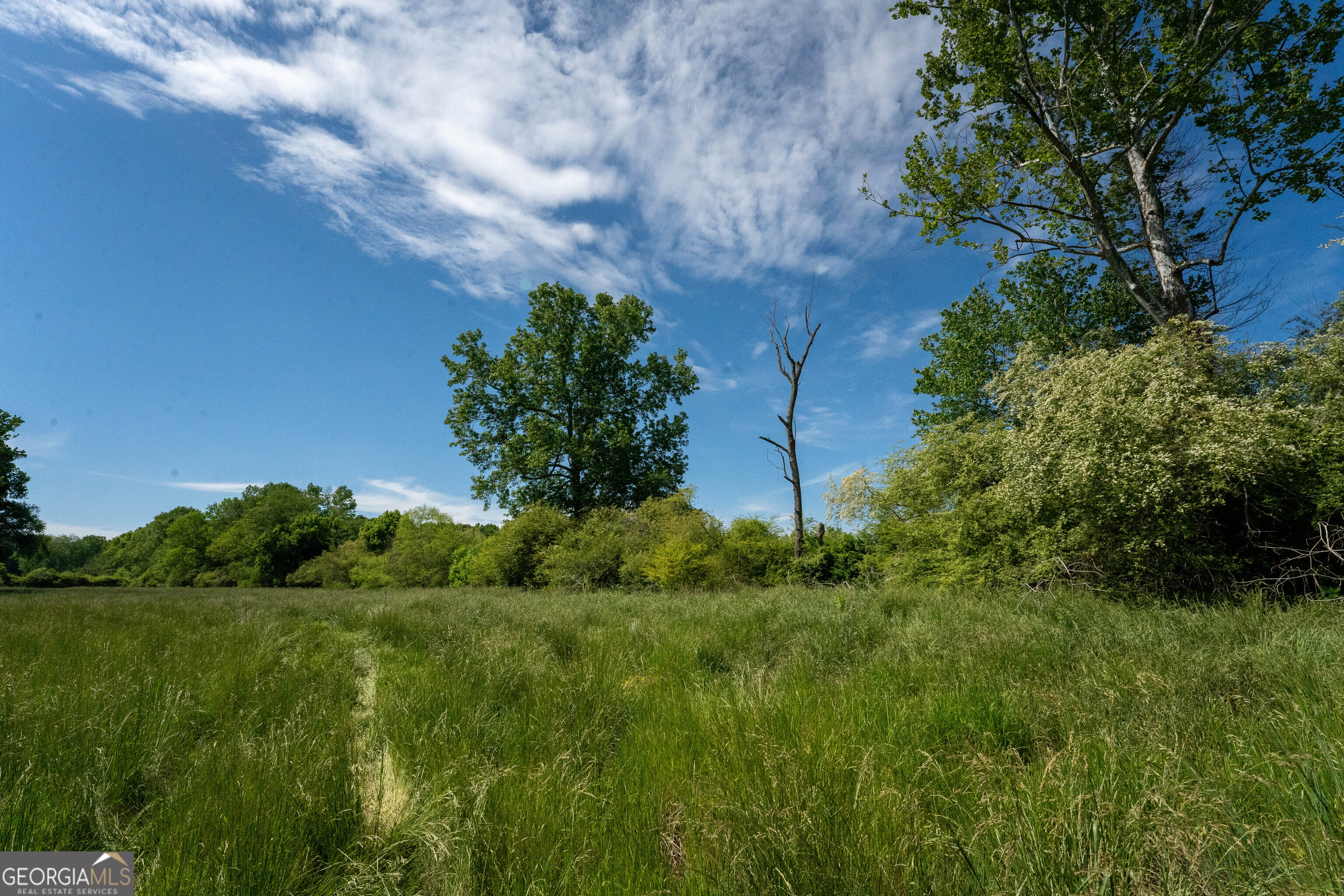 1825 Groaning Rock Road Property Photo 14