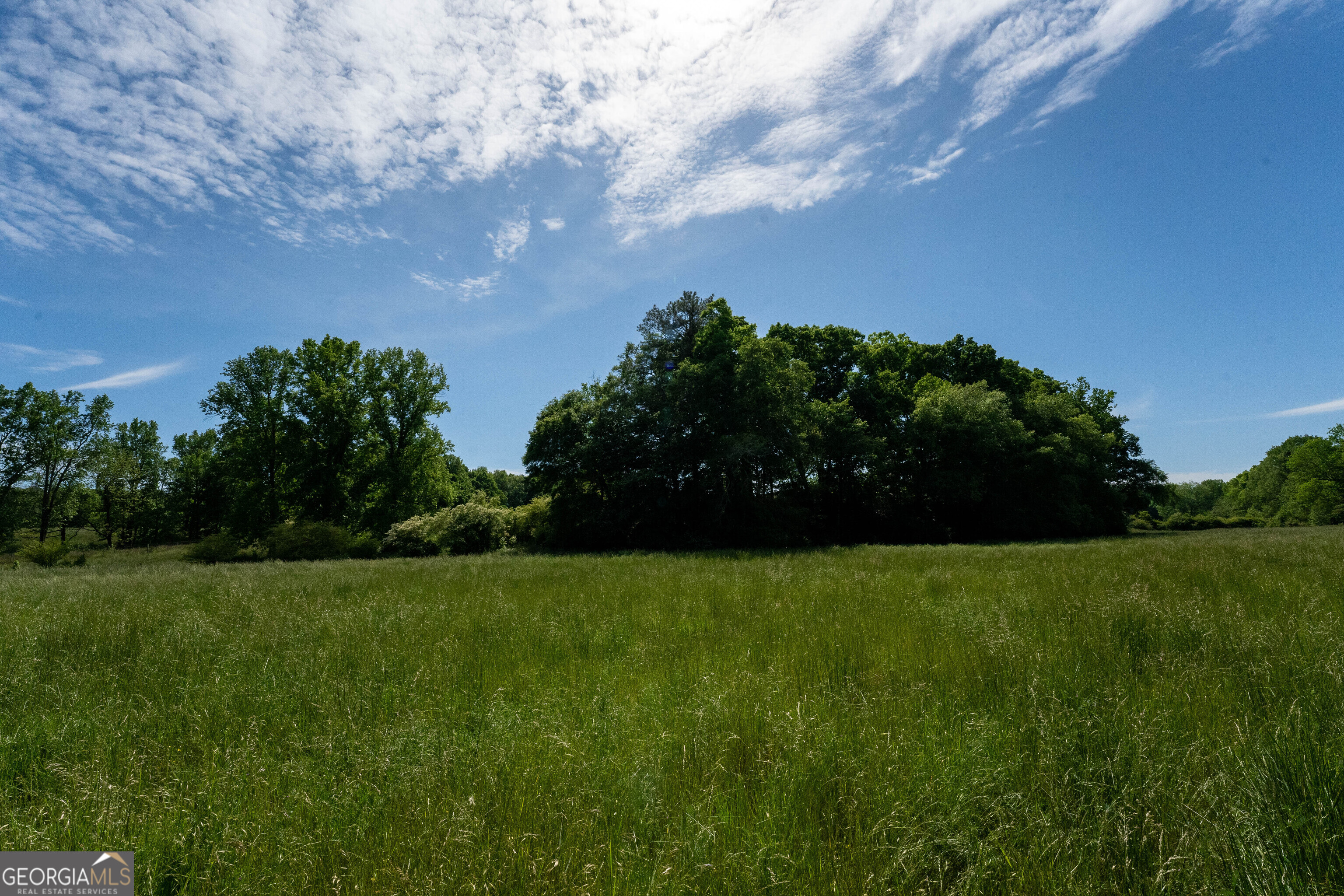 1825 Groaning Rock Road Property Photo 15