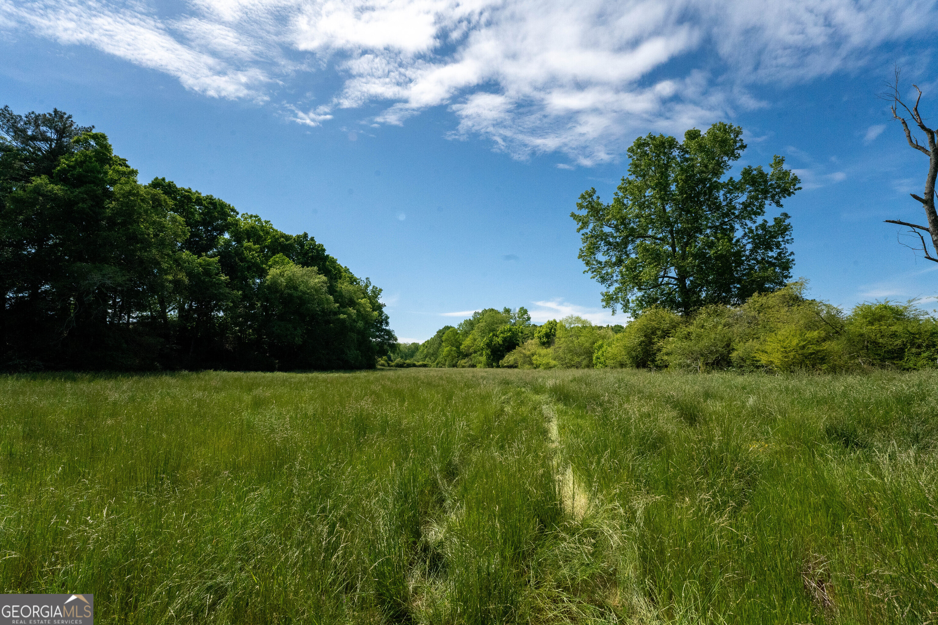 1825 Groaning Rock Road Property Photo 16
