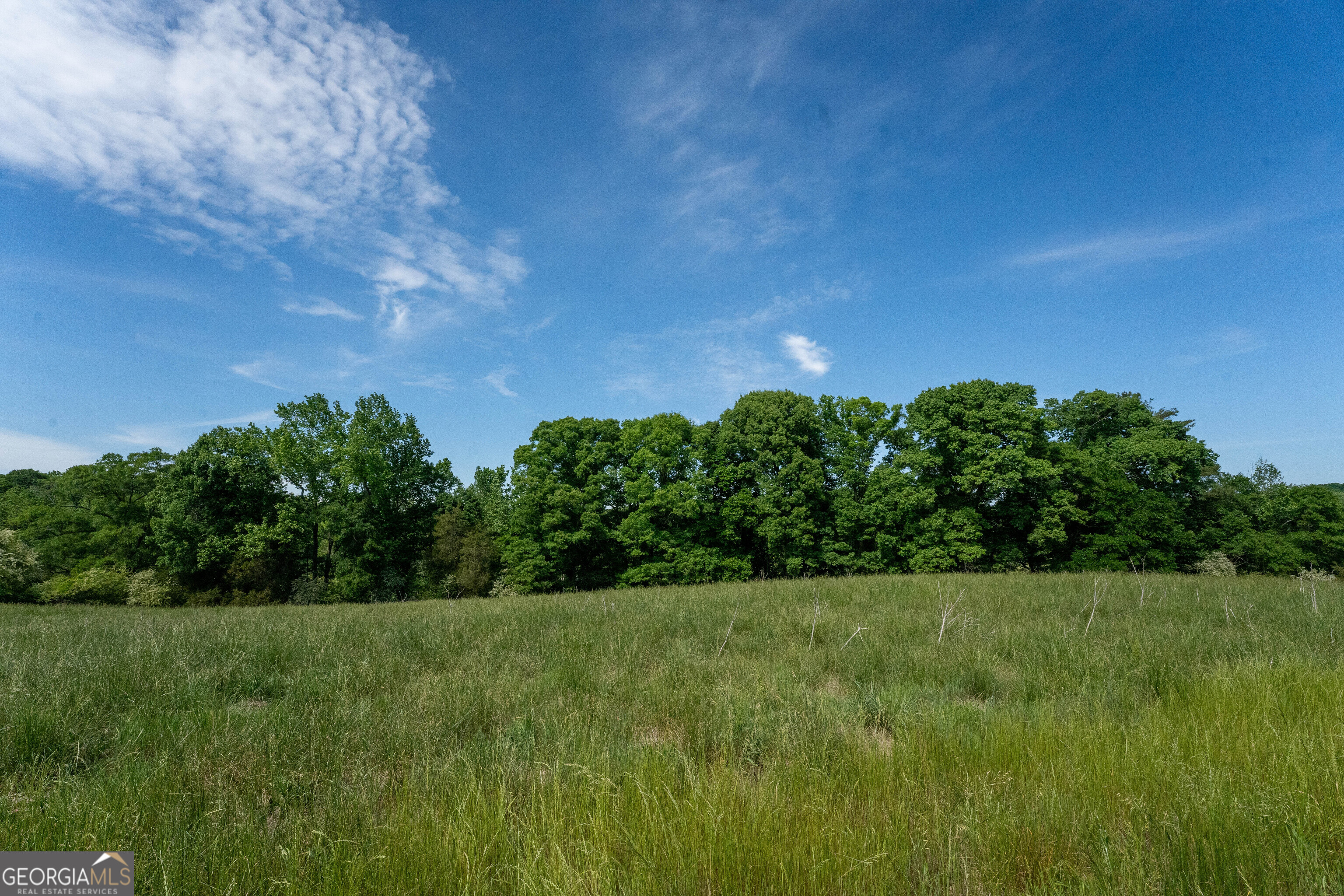 1825 Groaning Rock Road Property Photo 18