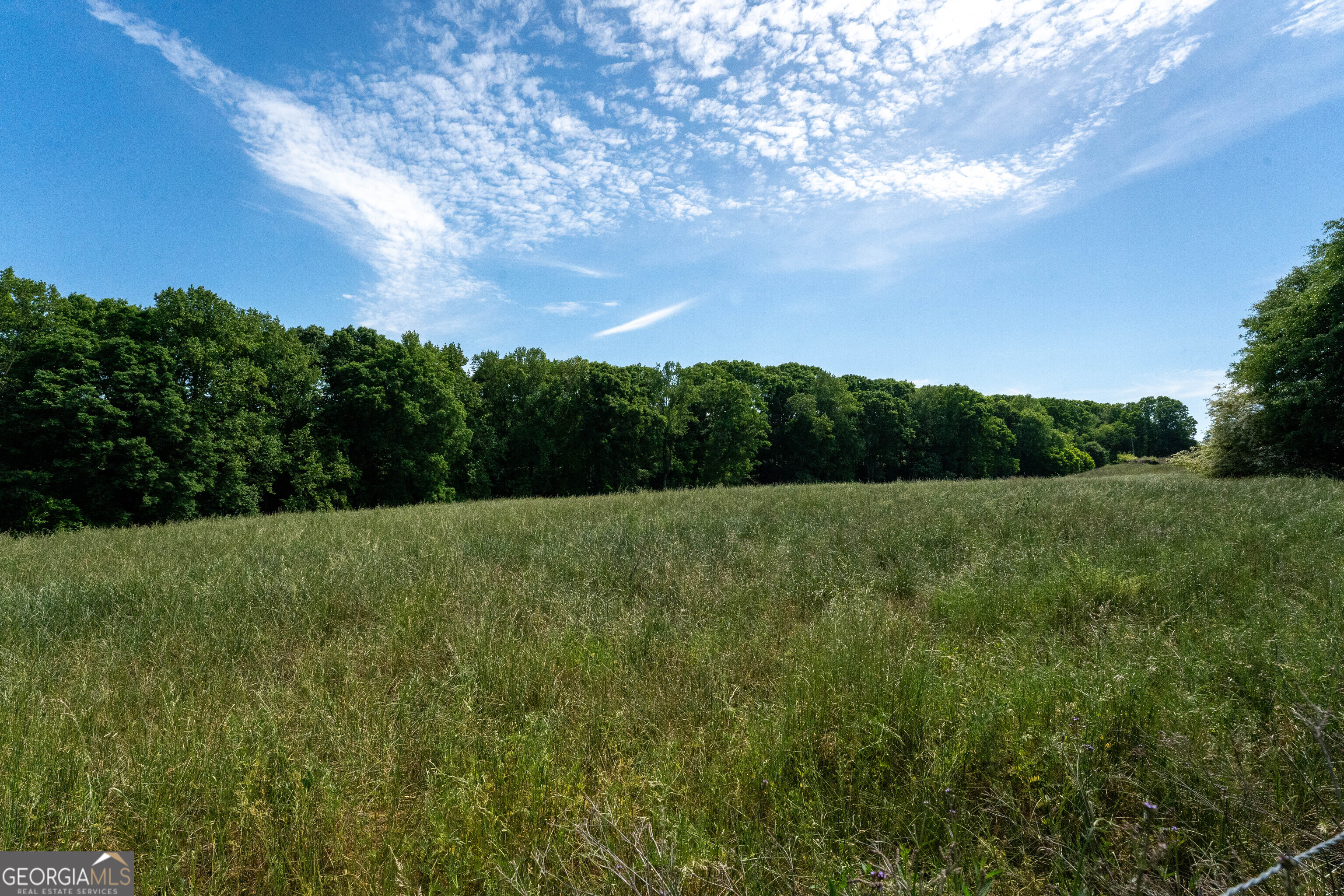 1825 Groaning Rock Road Property Photo 21