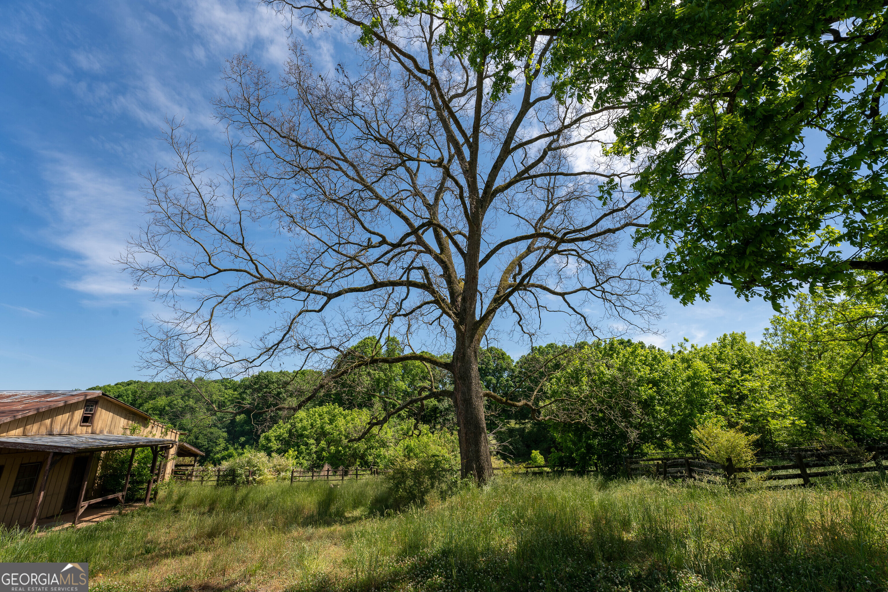 1825 Groaning Rock Road Property Photo 26