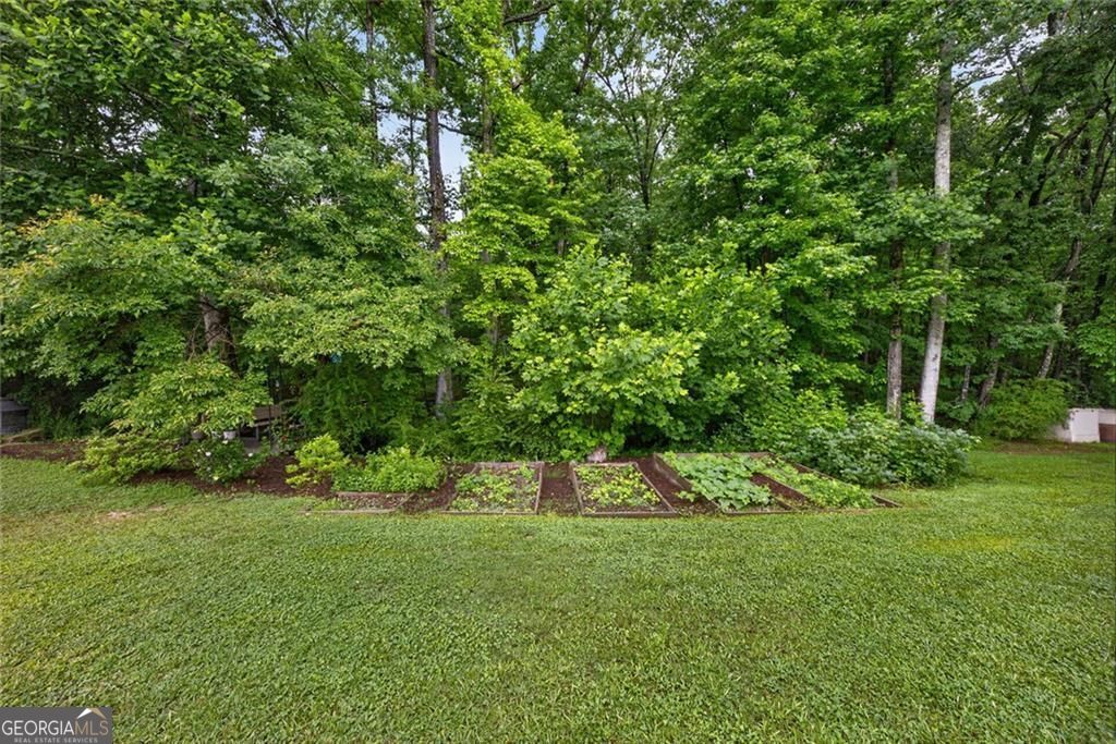 1260 Old Victron School Road Property Photo 40