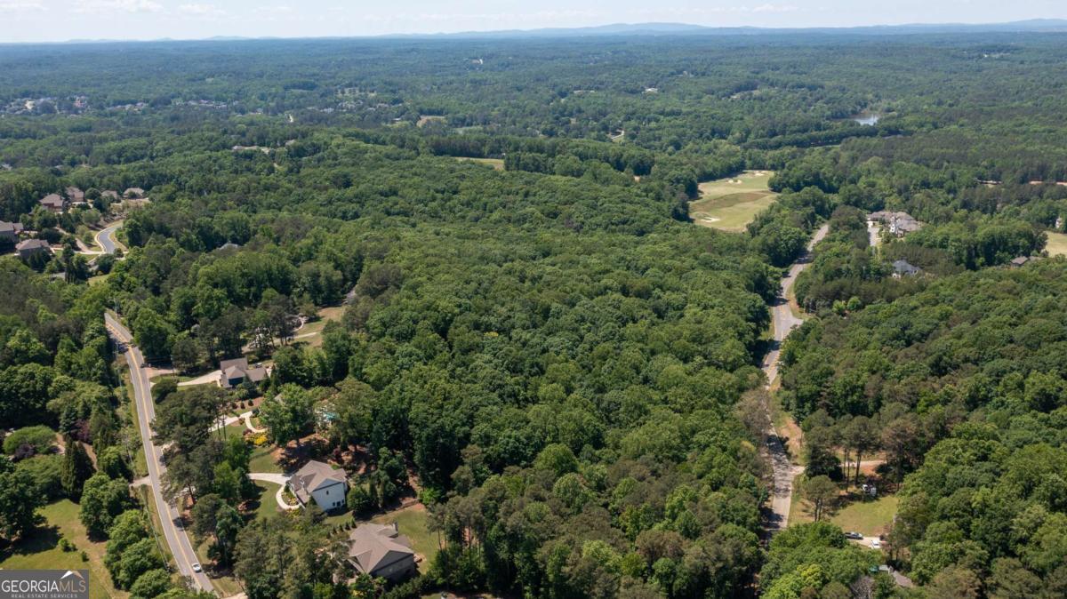 1981 Mountain Road Property Photo 3