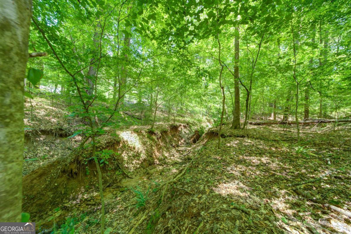 1981 Mountain Road Property Photo 5
