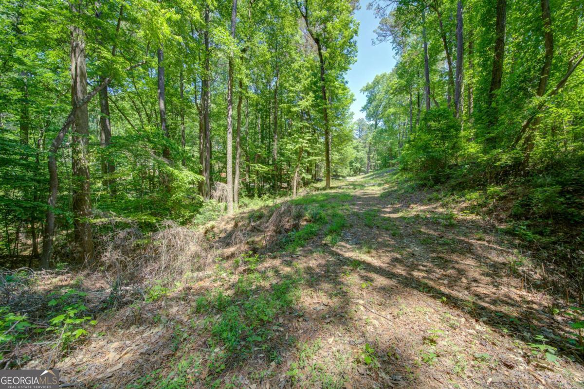1981 Mountain Road Property Photo 6