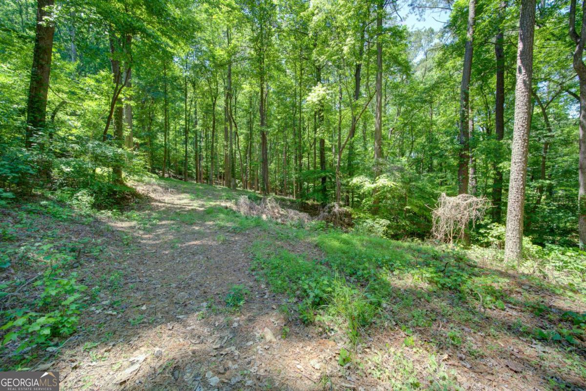 1981 Mountain Road Property Photo 7