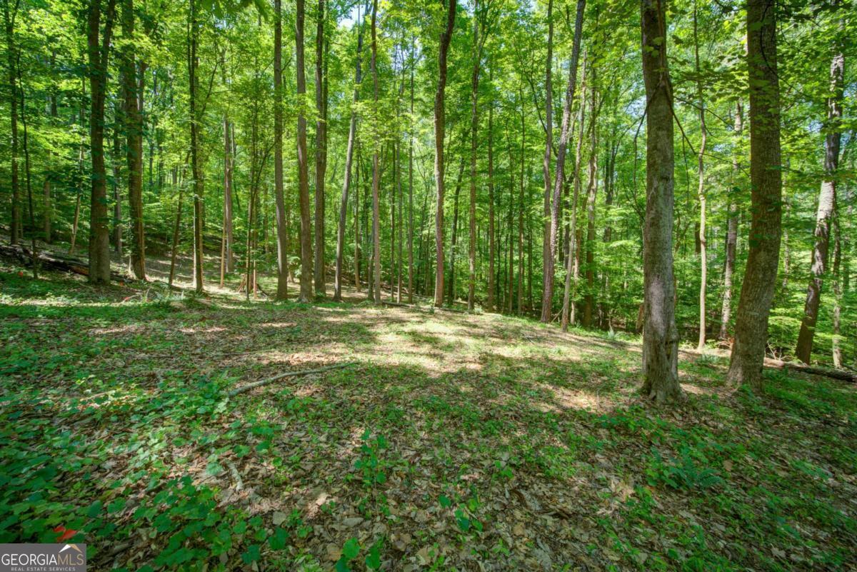 1981 Mountain Road Property Photo 8