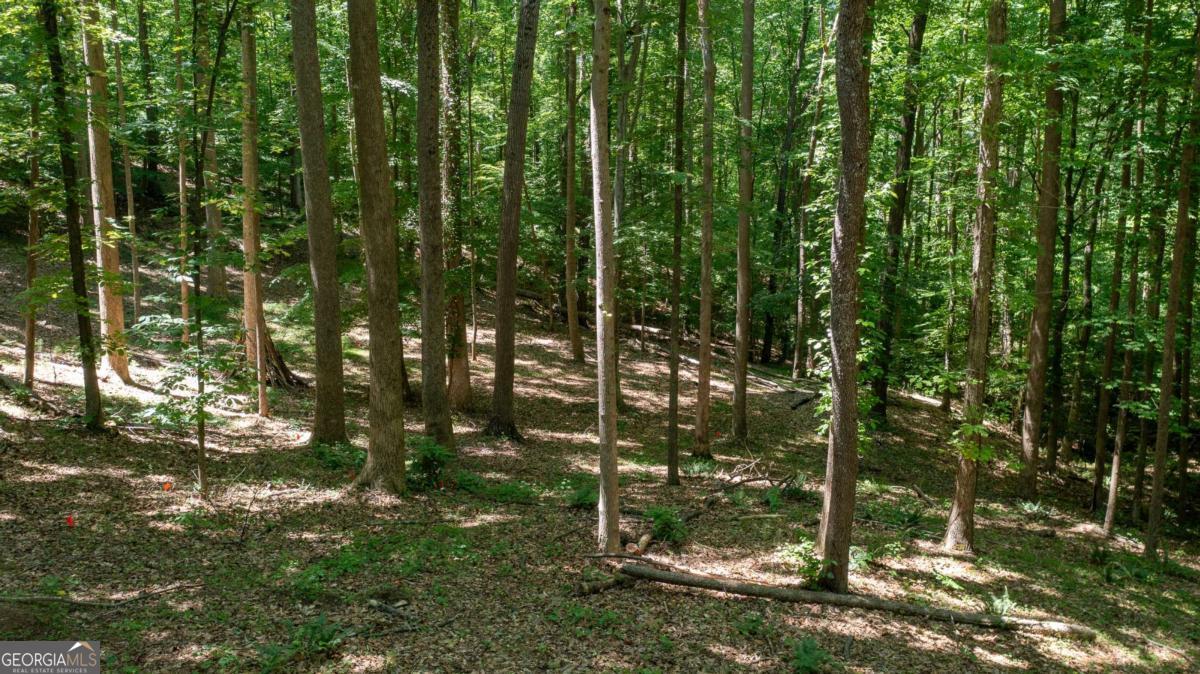 1981 Mountain Road Property Photo 9