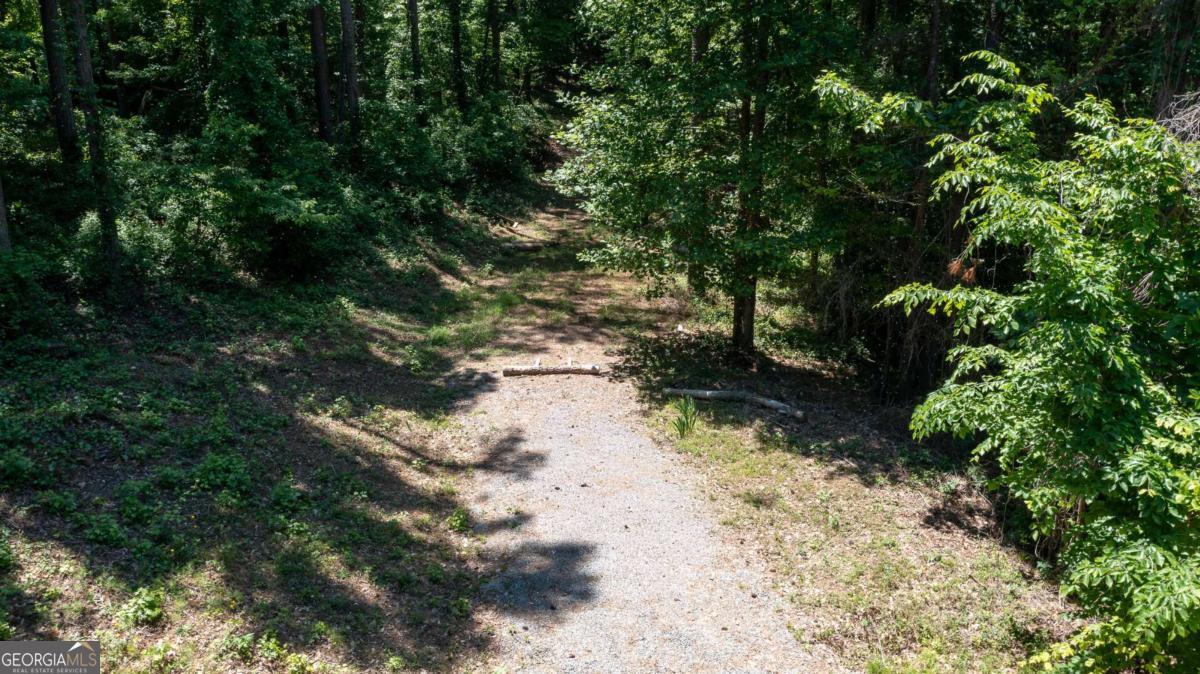 1981 Mountain Road Property Photo 11