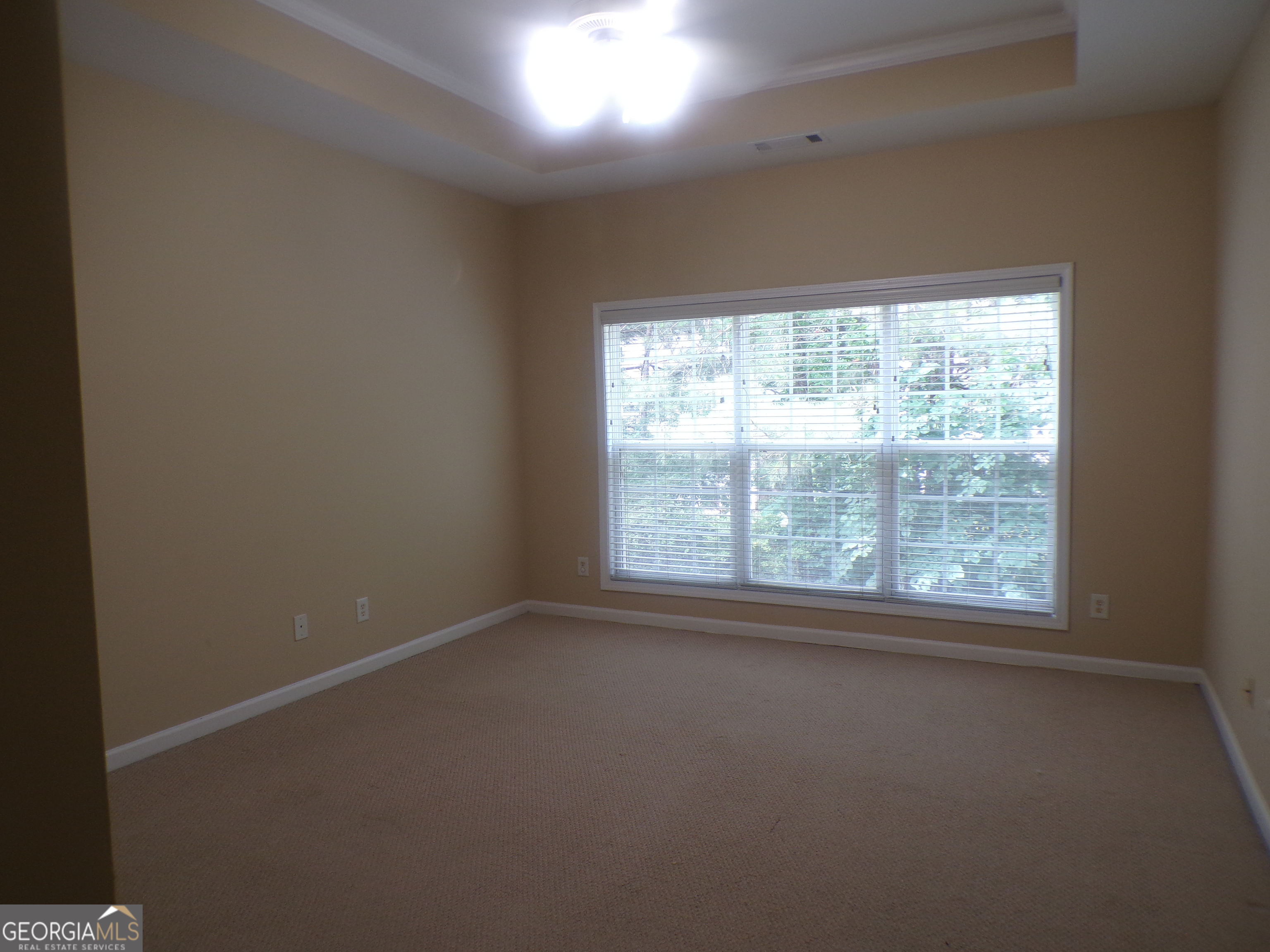 3969 Elm Trace Drive Property Photo 5
