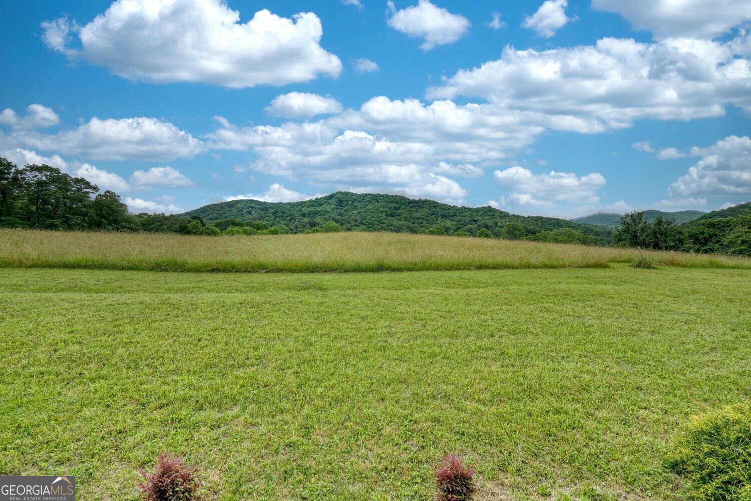 568 Parks Road Property Photo 4