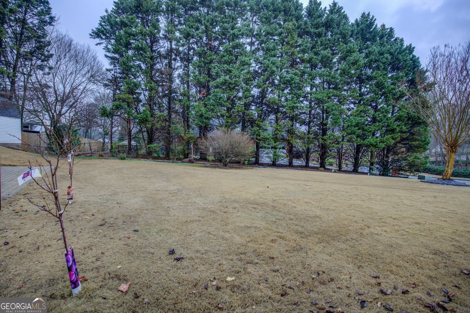 1435 Barrett Place Lane Property Photo 66