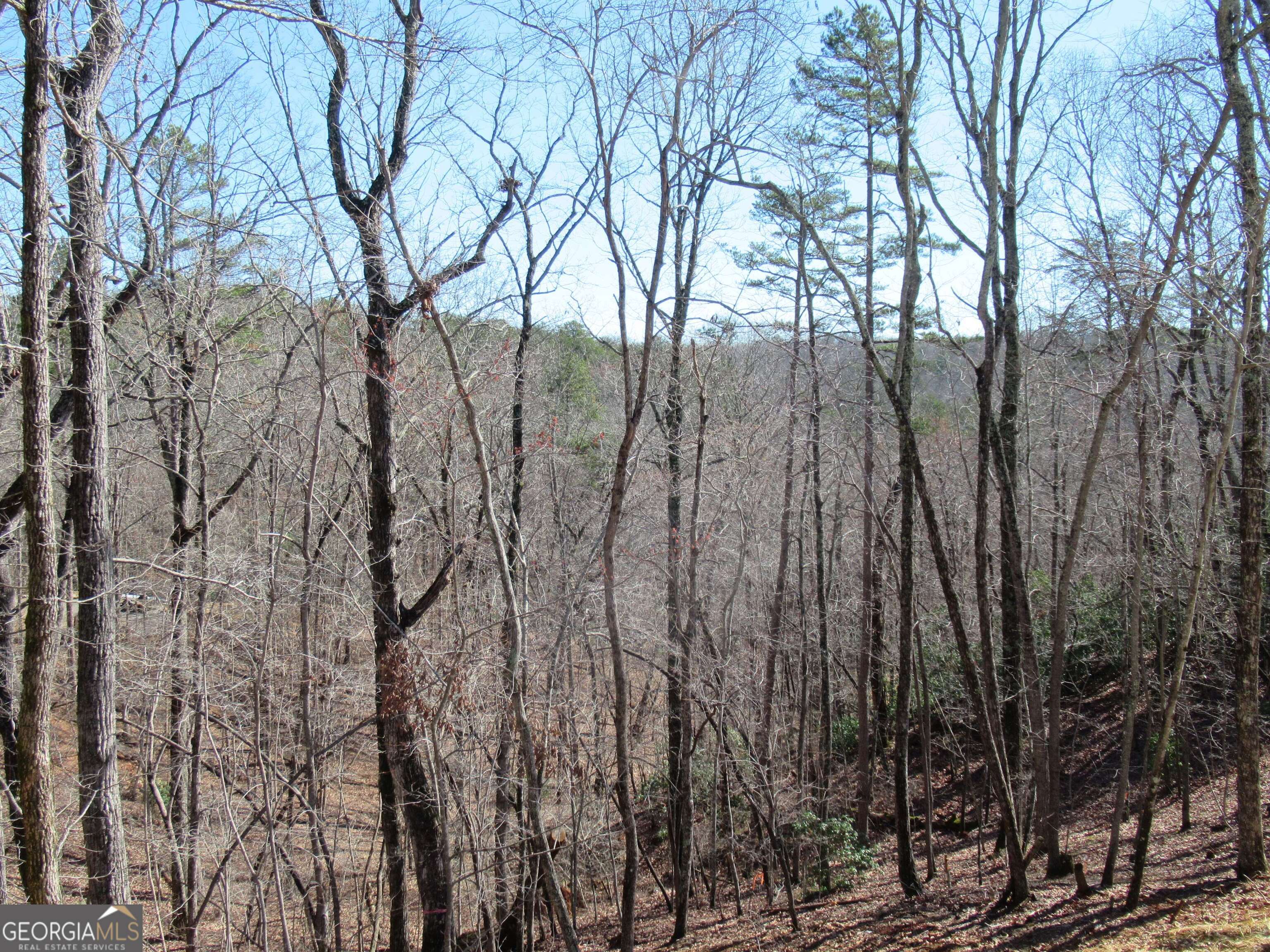 745 Old Kerns Road Property Photo 29