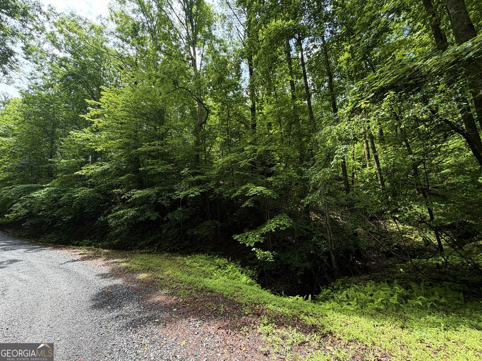 Lt 144 Alcan Way Property Photo 2