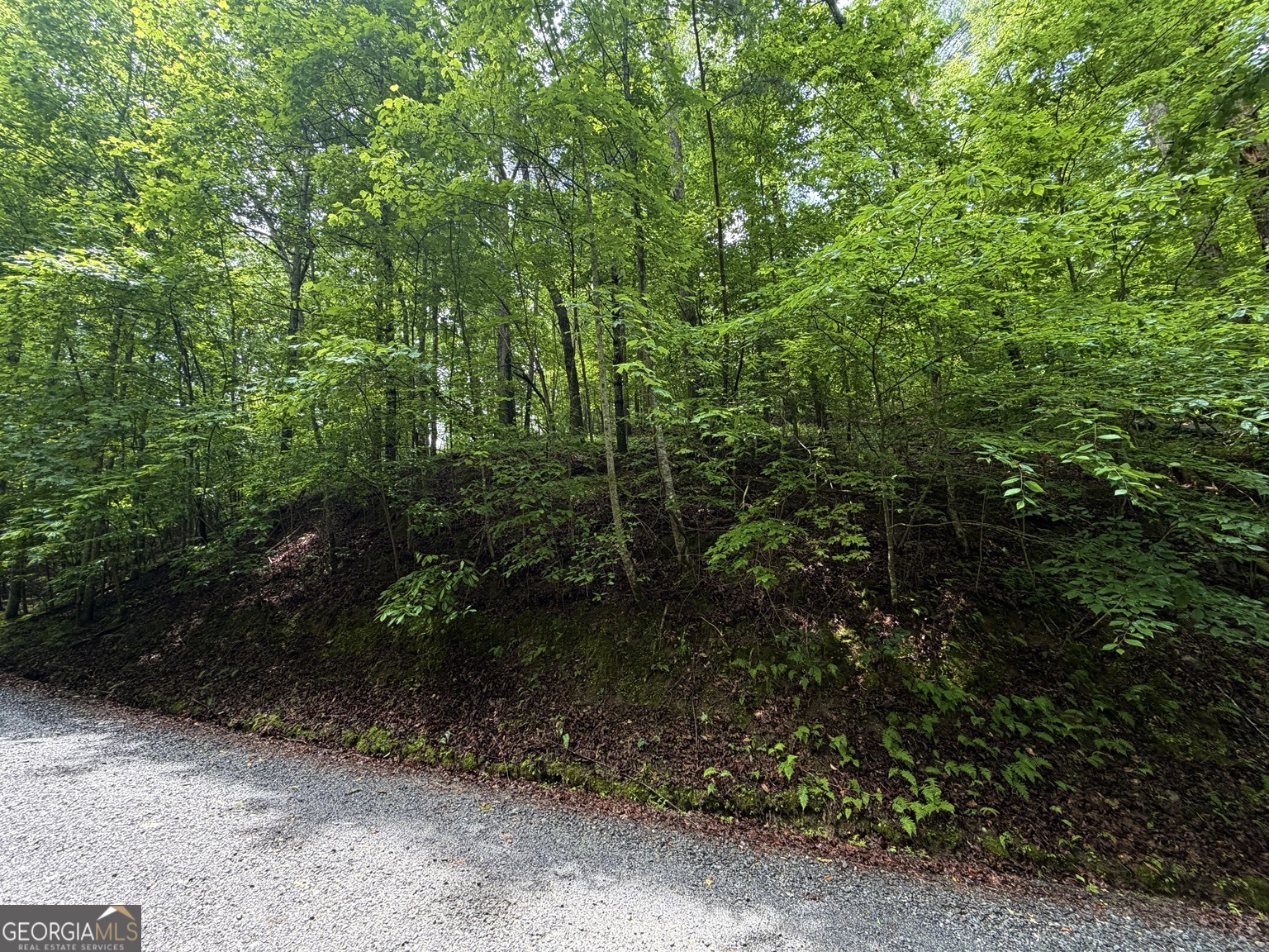 Lt 144 Alcan Way Property Photo 3