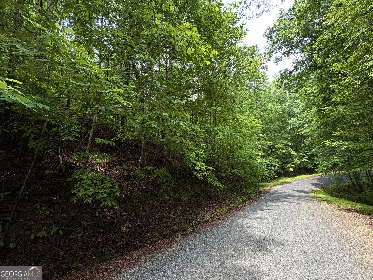 Lt 144 Alcan Way Property Photo 4