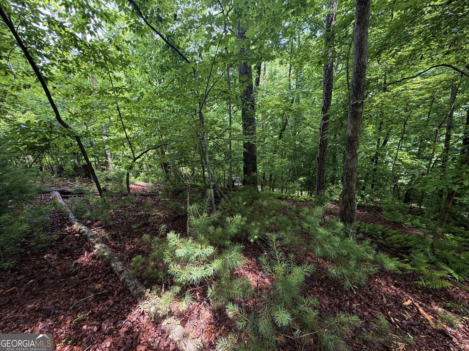 Lt 144 Alcan Way Property Photo 6