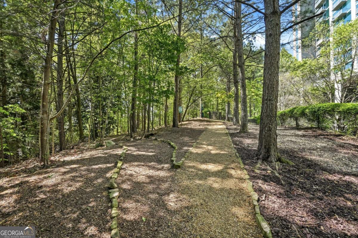 3300 Windy Ridge Parkway Se # 1419 Property Photo 18