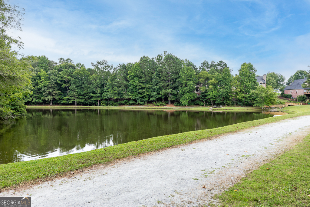 302 Beech Tree Hollow Property Photo 65