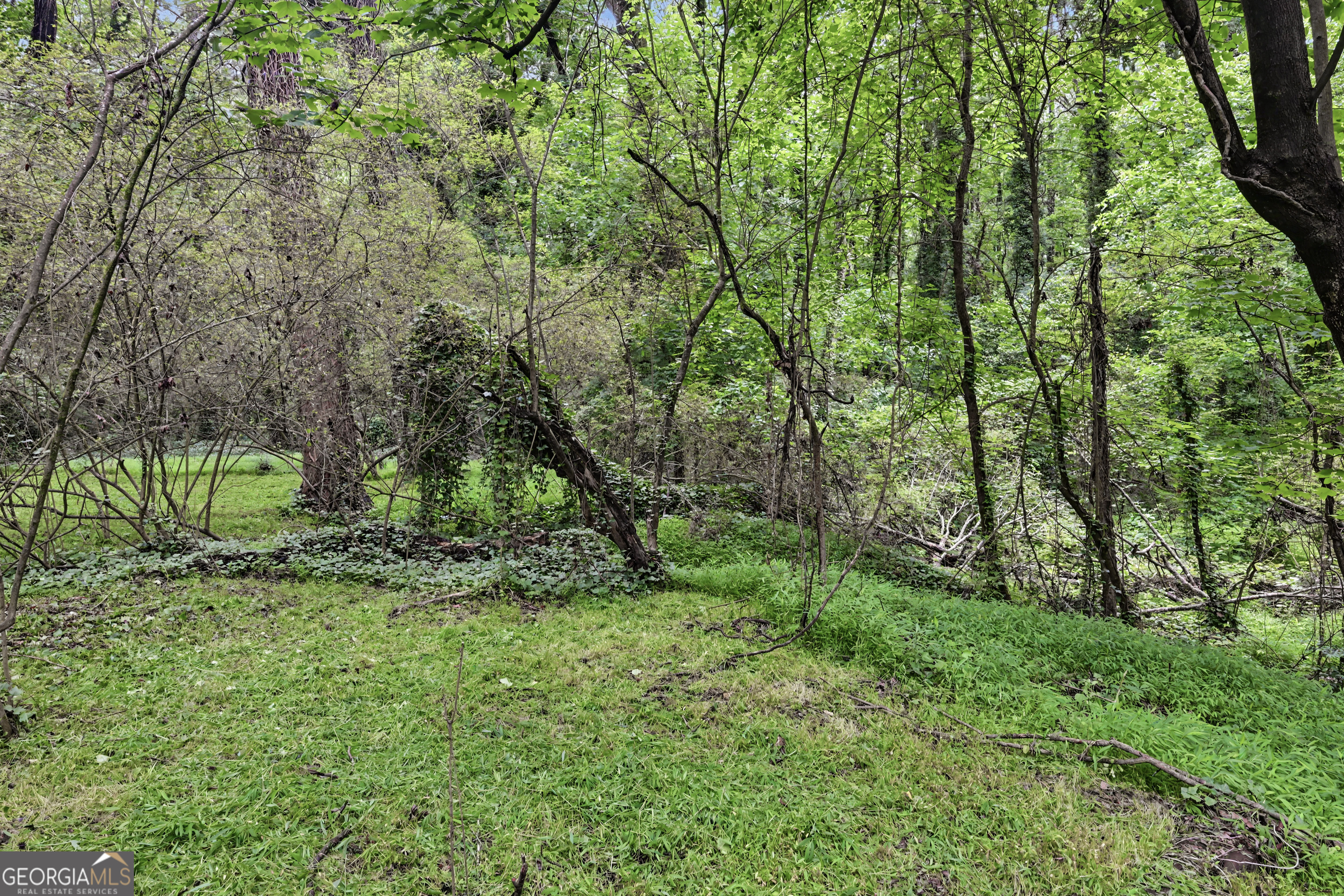 3101 Browns Mill Road Se Property Photo 16