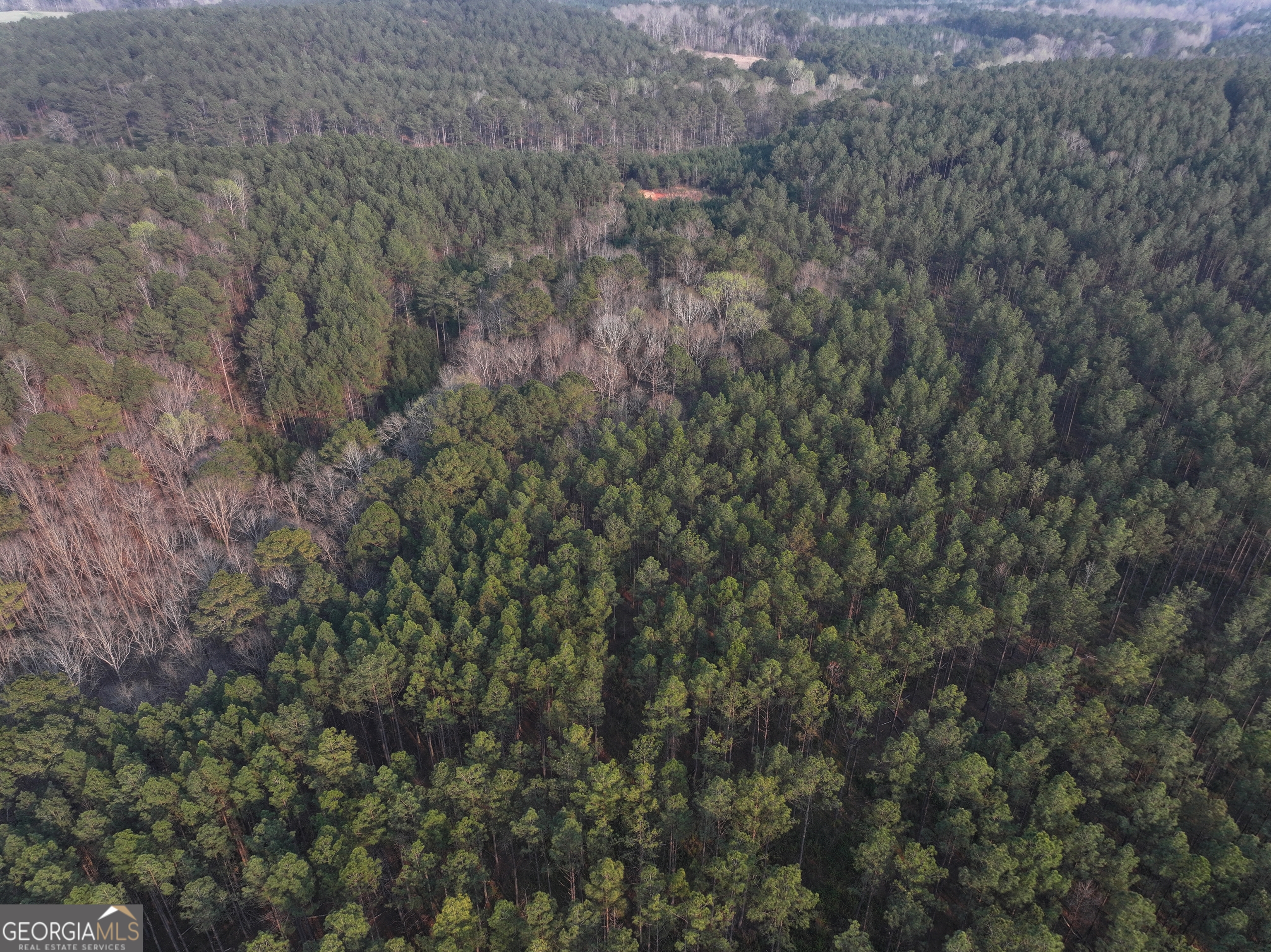 117 +/- Acres On Mccosh Mill Road Property Photo 4