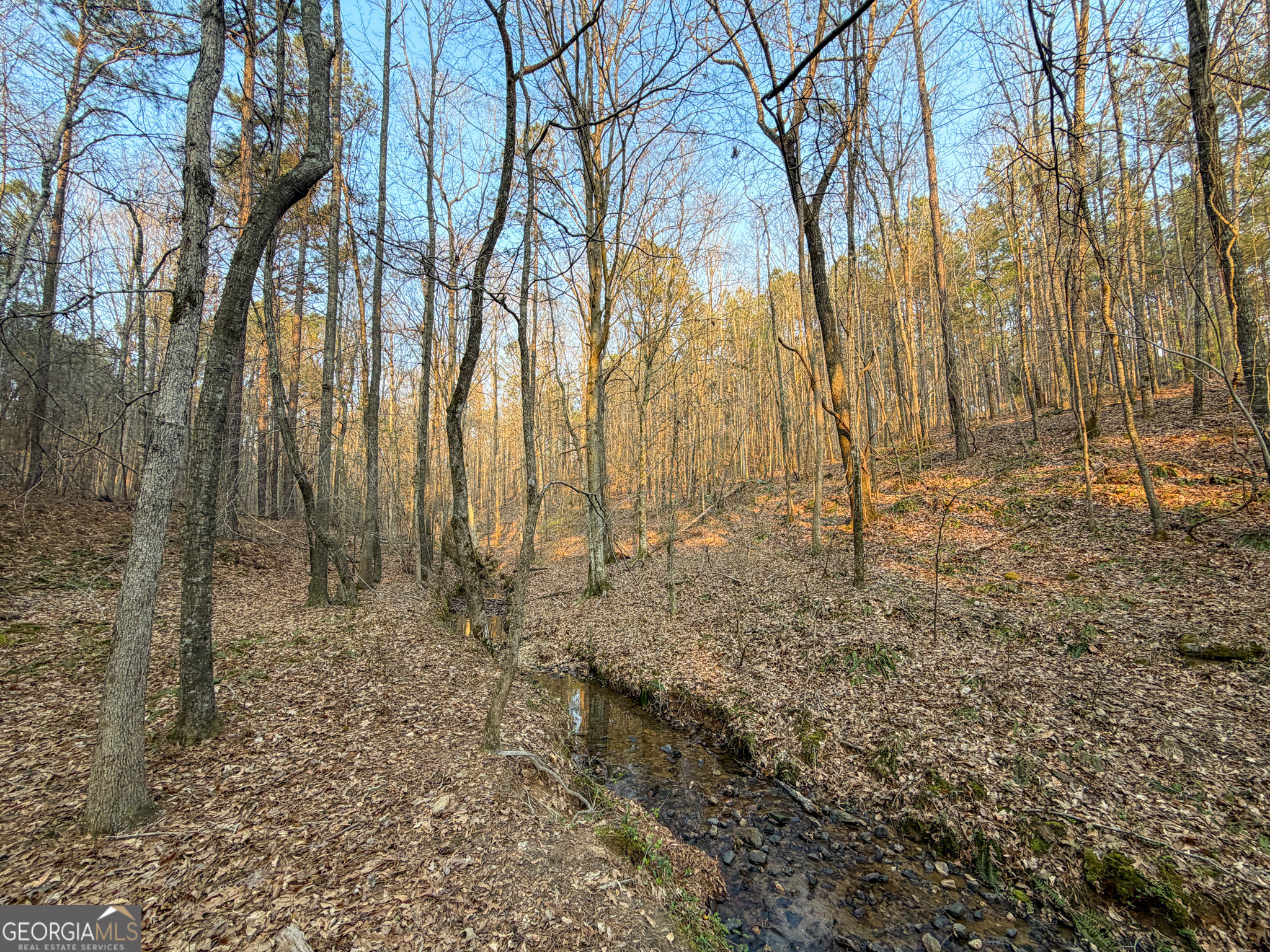 117 +/- Acres On Mccosh Mill Road Property Photo 5