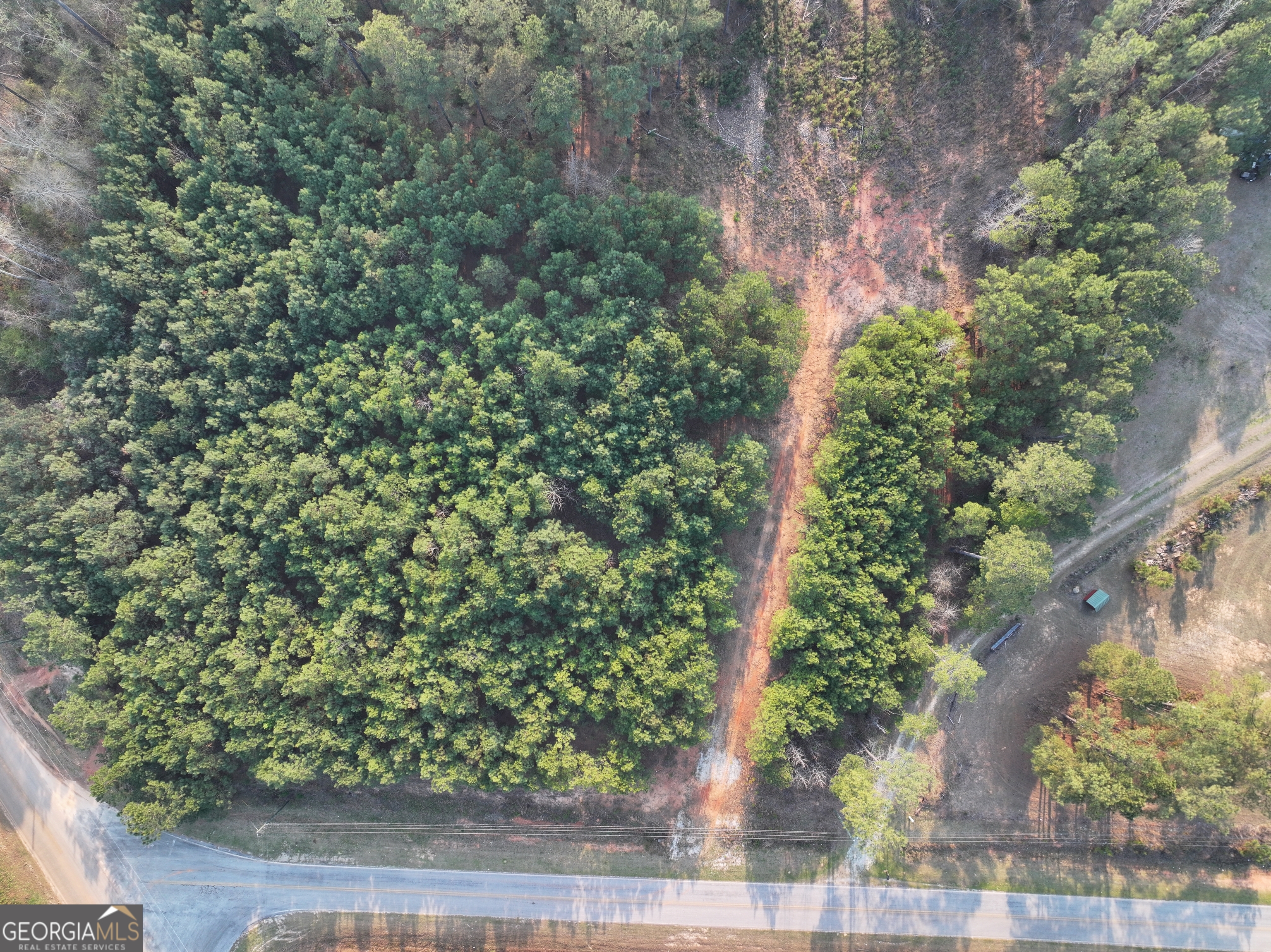 117 +/- Acres On Mccosh Mill Road Property Photo 6