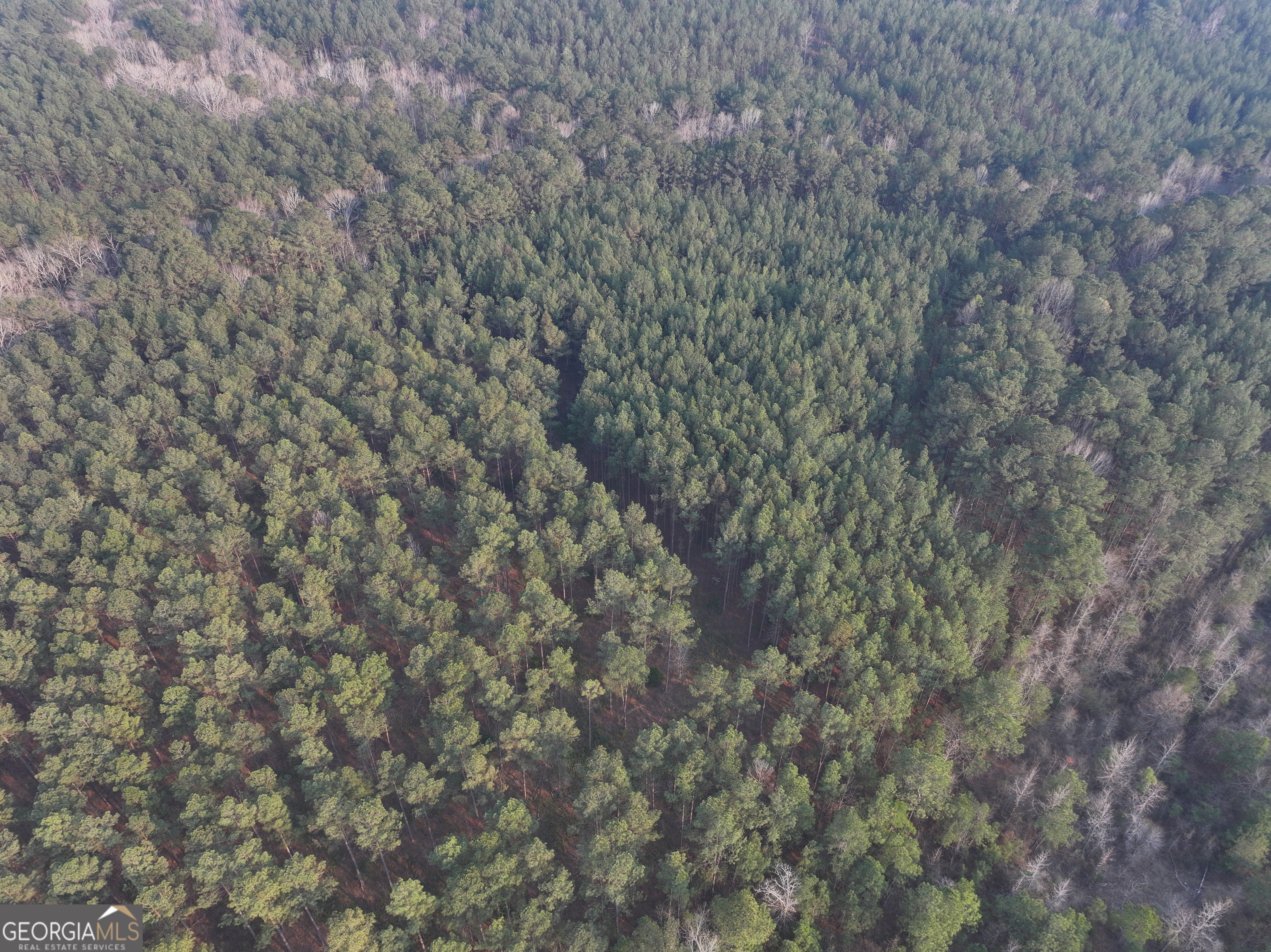 117 +/- Acres On Mccosh Mill Road Property Photo 10