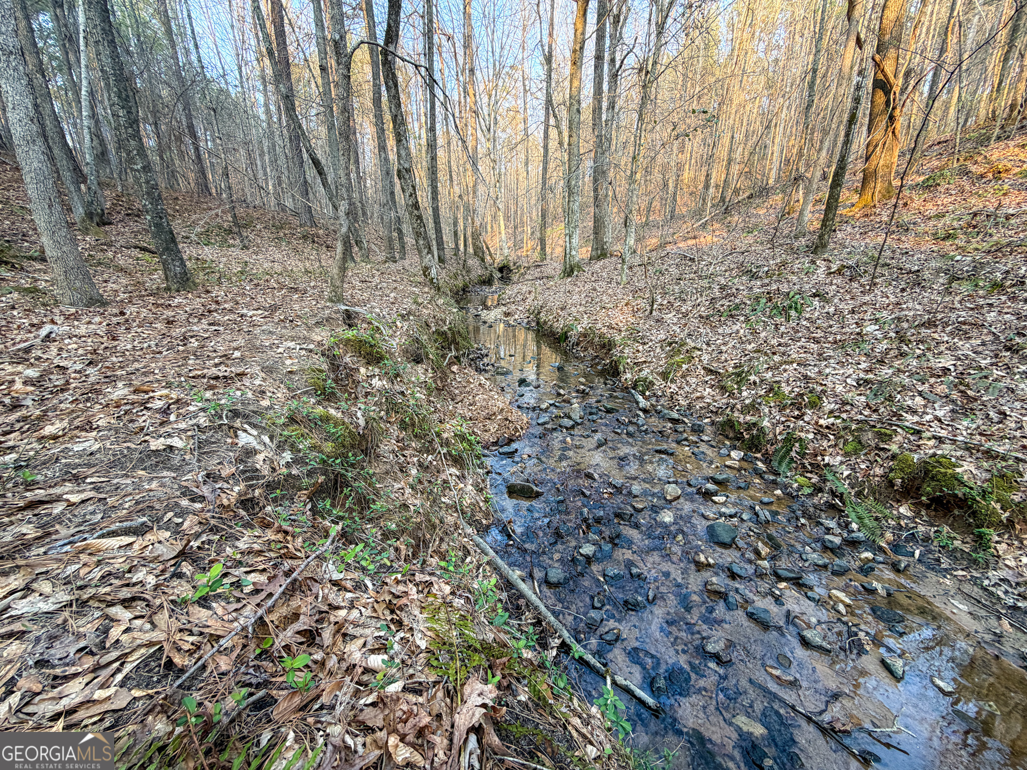 117 +/- Acres On Mccosh Mill Road Property Photo 11