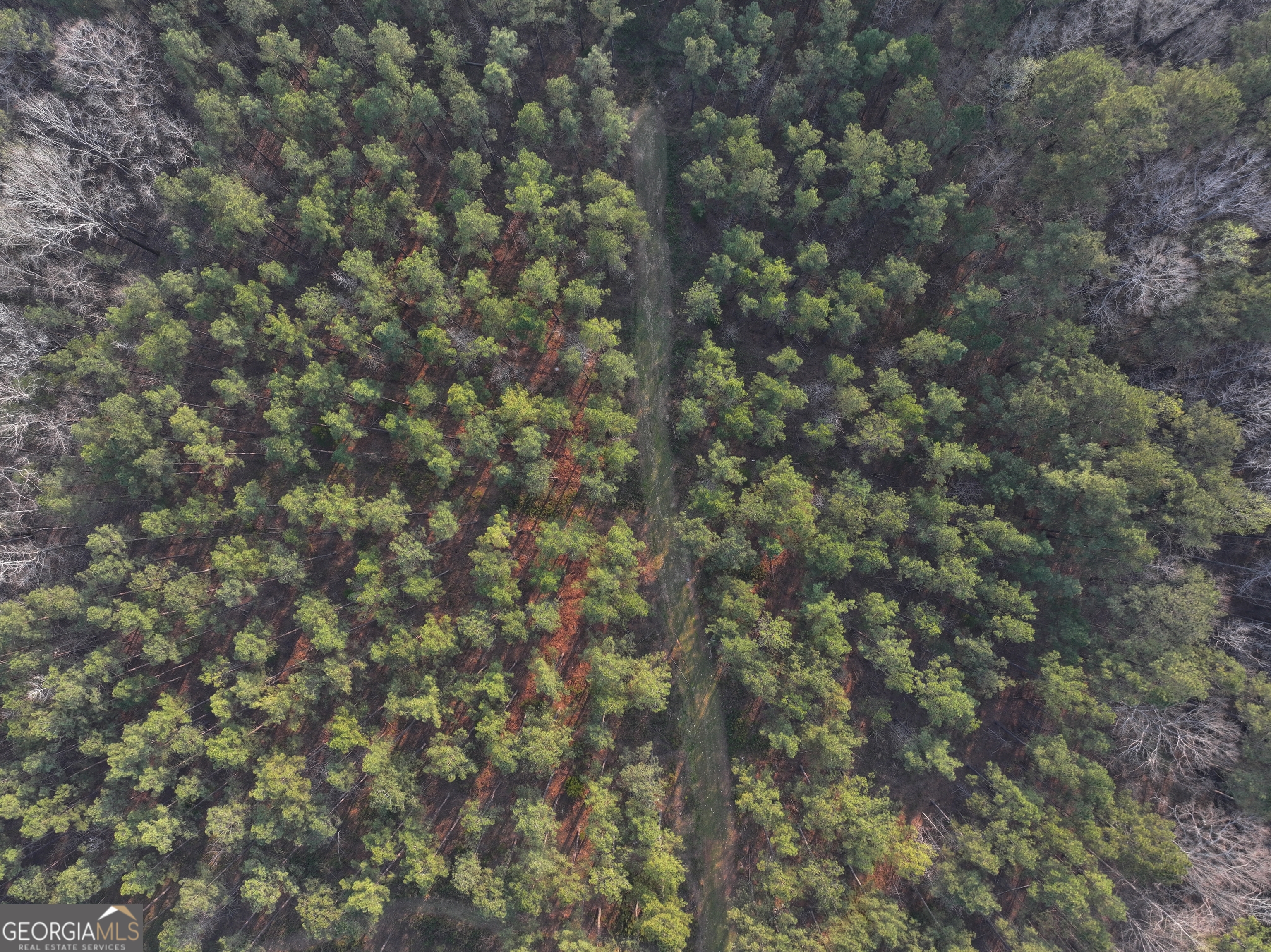 117 +/- Acres On Mccosh Mill Road Property Photo 12