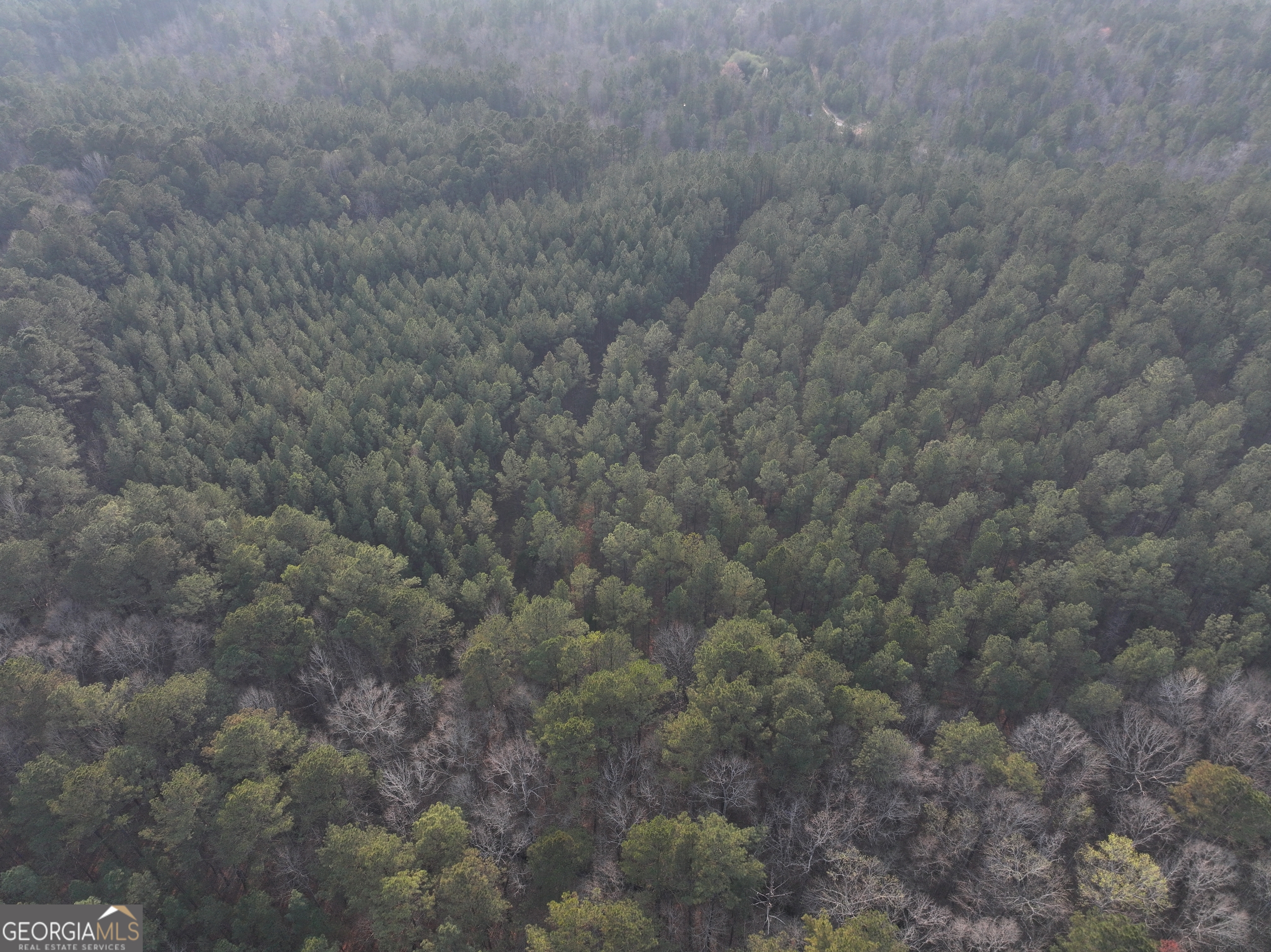 117 +/- Acres On Mccosh Mill Road Property Photo 13