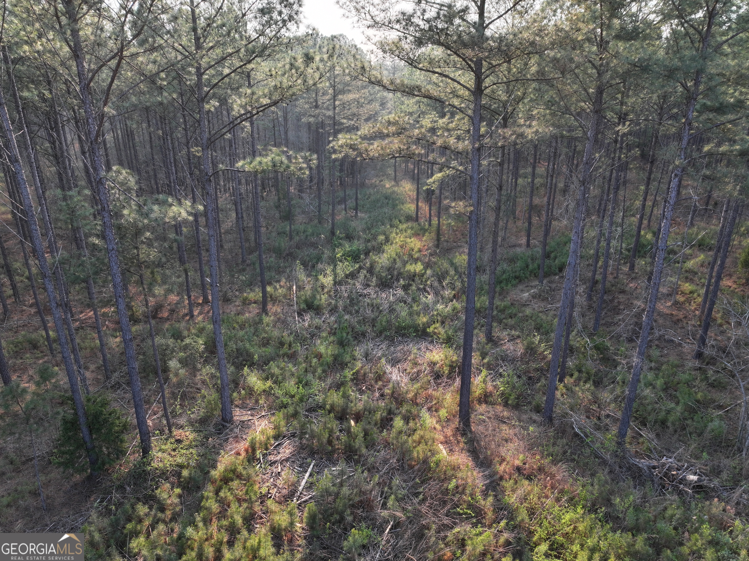 117 +/- Acres On Mccosh Mill Road Property Photo 17