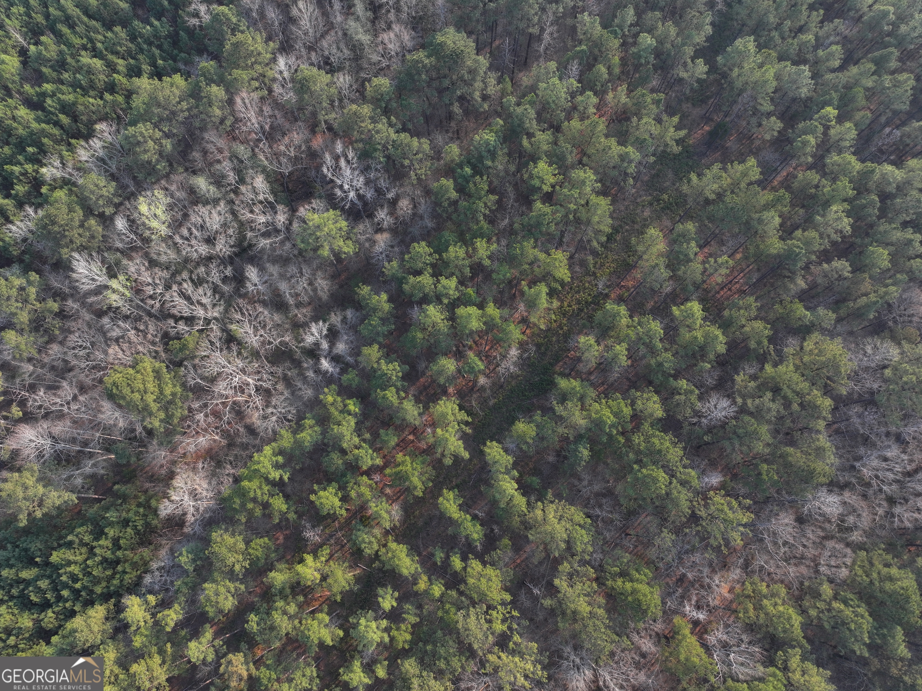 117 +/- Acres On Mccosh Mill Road Property Photo 18