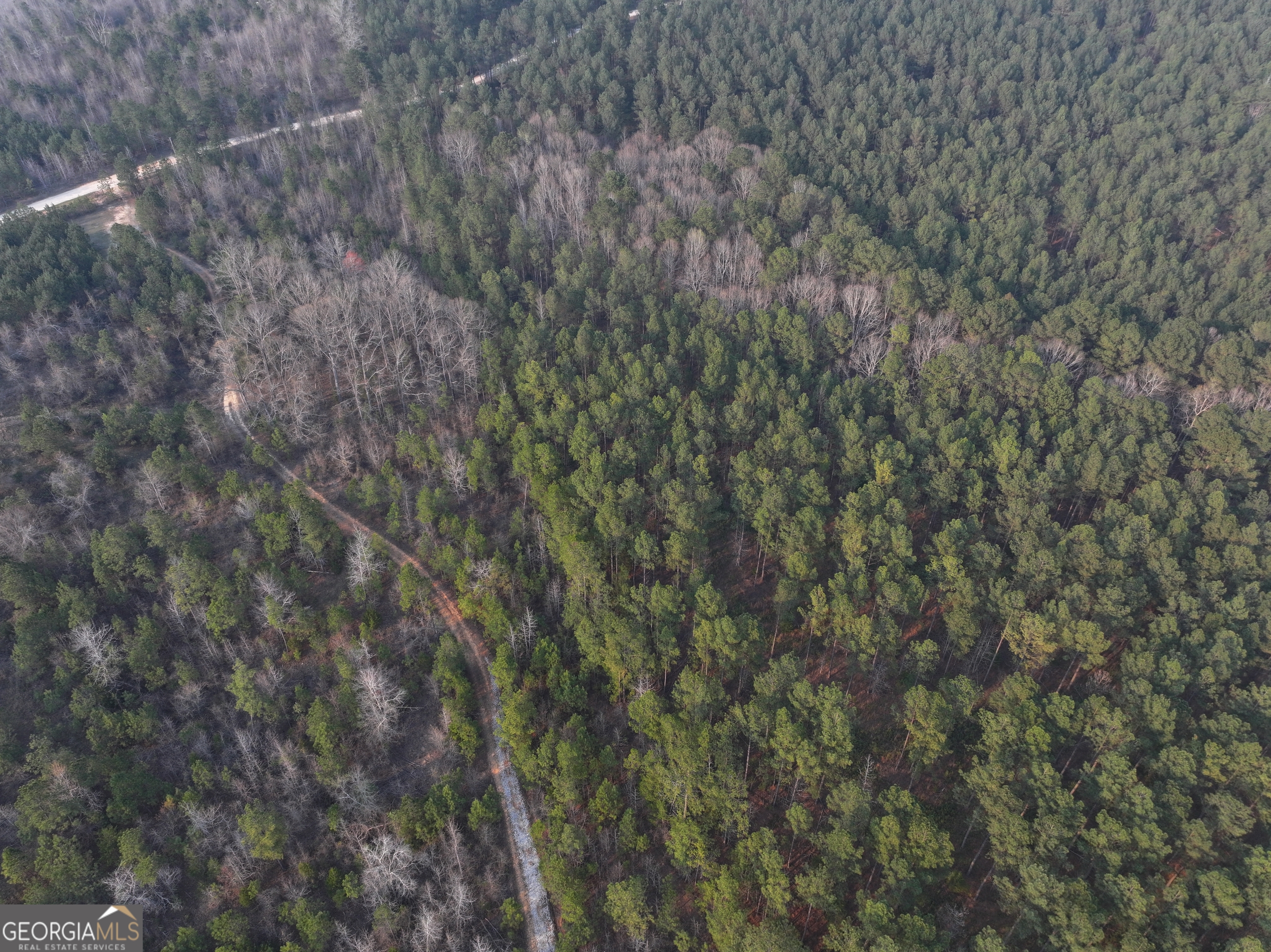 117 +/- Acres On Mccosh Mill Road Property Photo 19