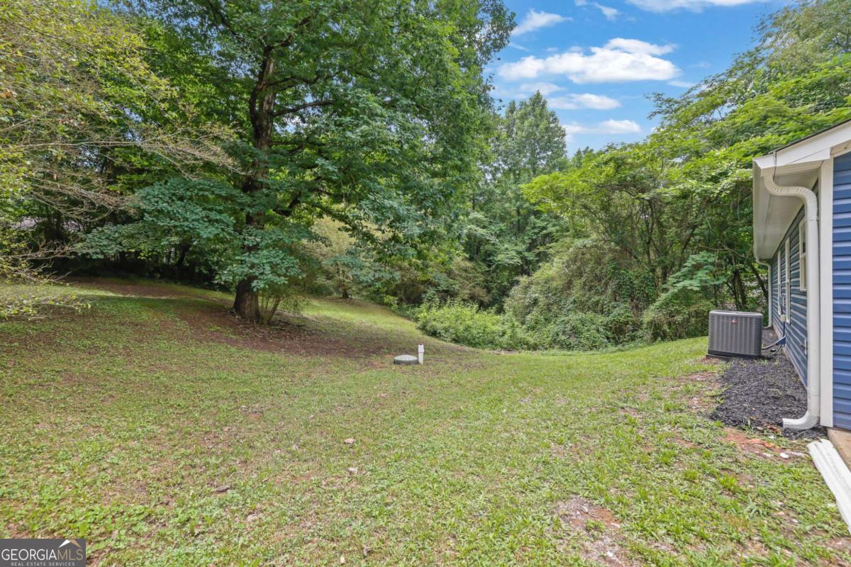 4311 Willow Springs Road Property Photo 31
