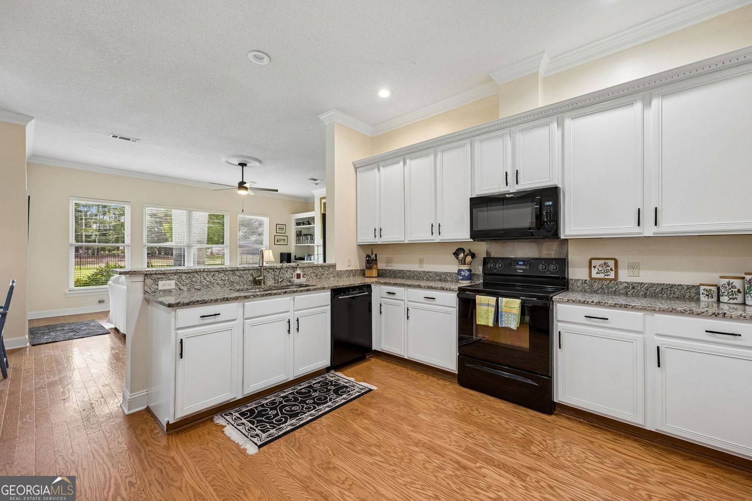 1074 Green Willow Drive Property Photo 12