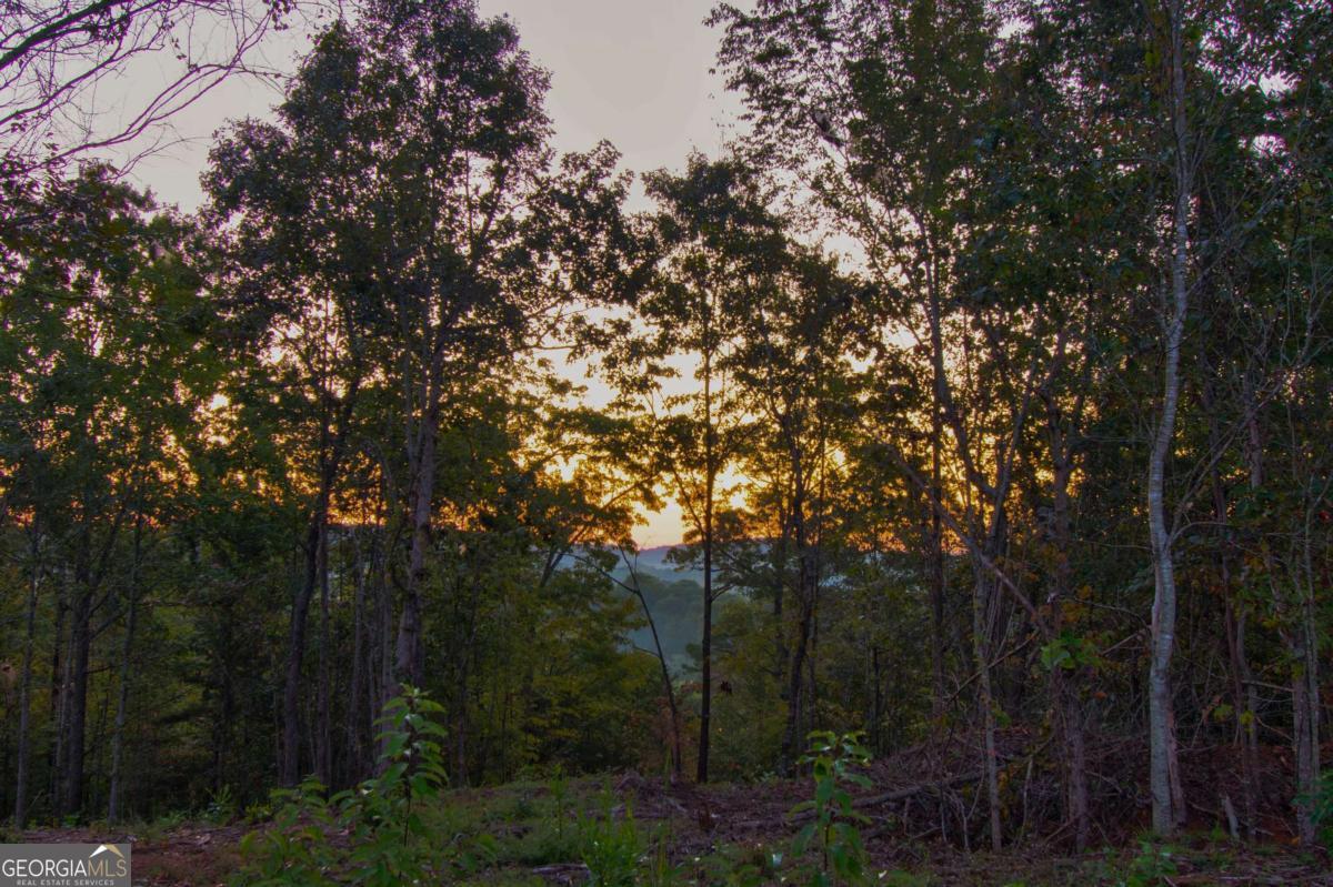 6.7 Grateful View Drive Property Photo 23