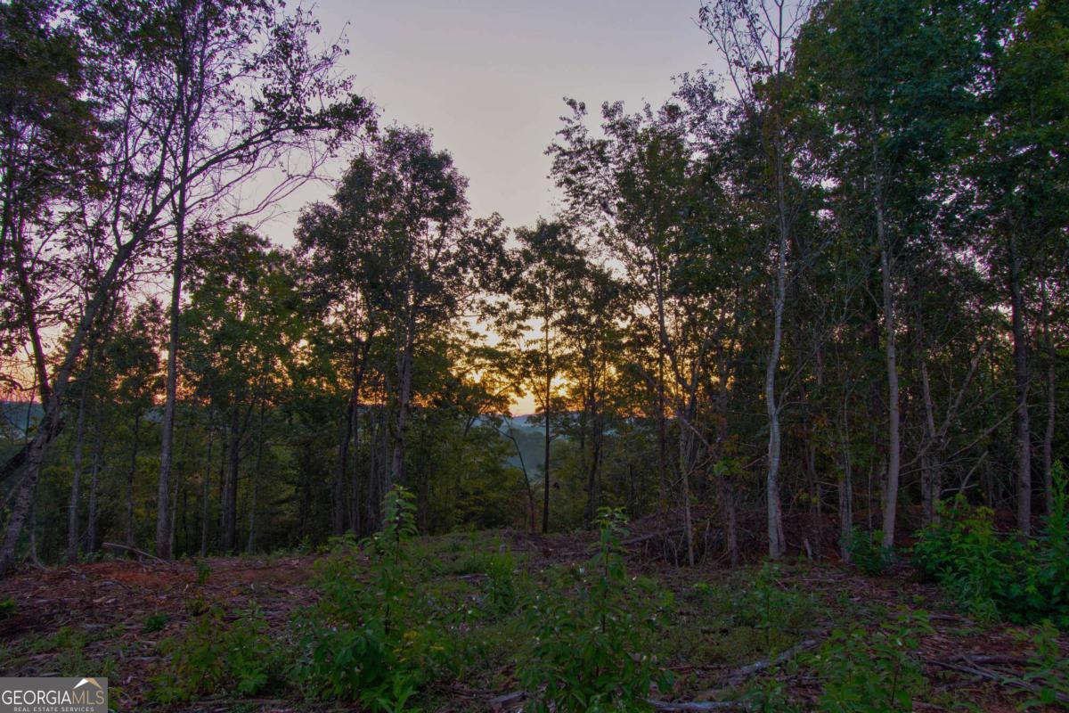 6.7 Grateful View Drive Property Photo 24