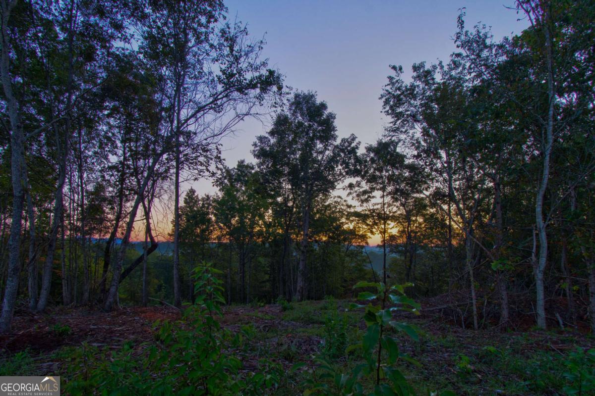 6.7 Grateful View Drive Property Photo 25