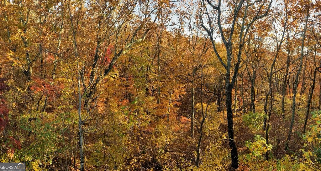 509 Crested Hawk Ridge Property Photo 75