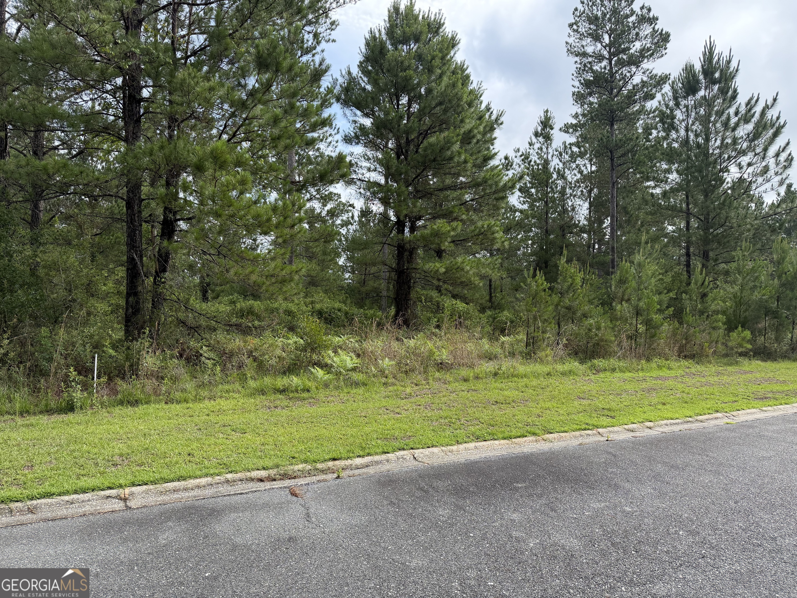 0.59 Big Horse Drive Property Photo 1