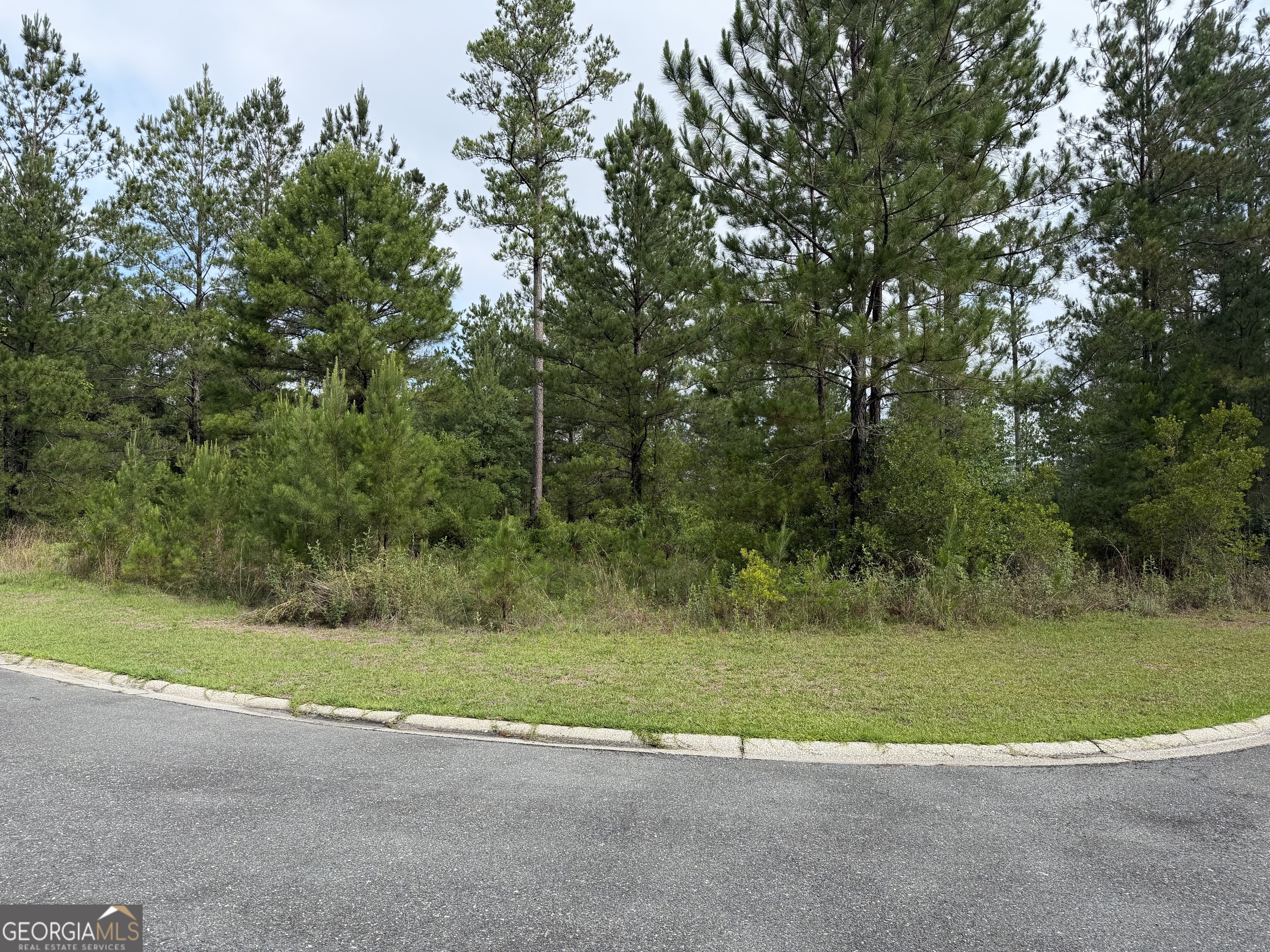 0.59 Big Horse Drive Property Photo 2