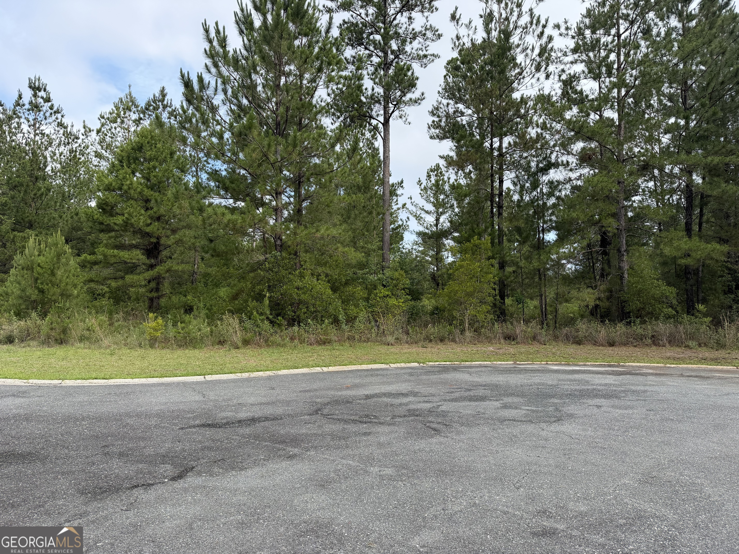 0.59 Big Horse Drive Property Photo 3