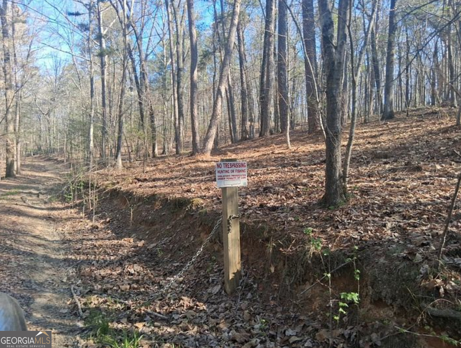 0 Hightower Falls Road Property Photo 14