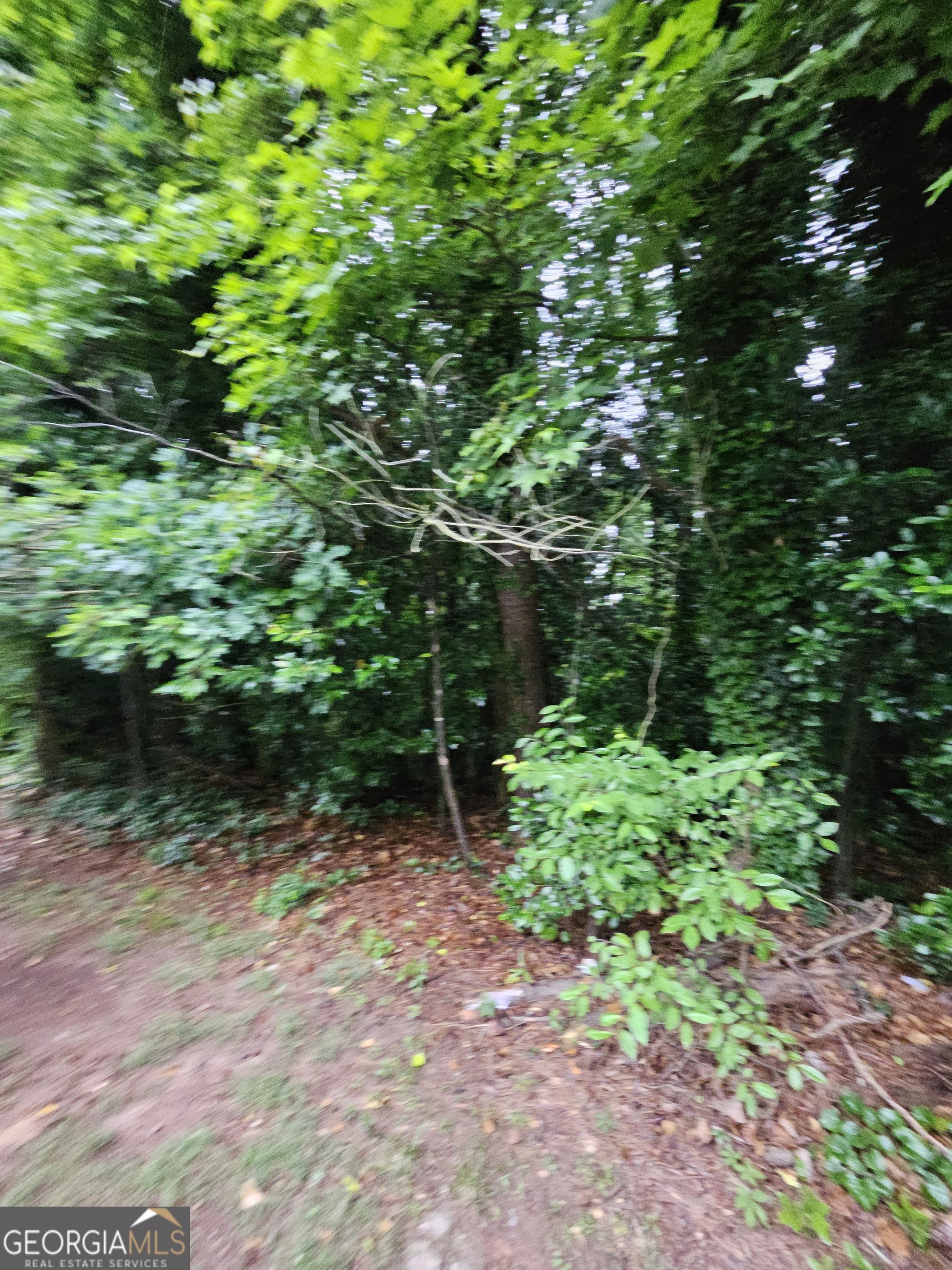 2409 Tarian Drive