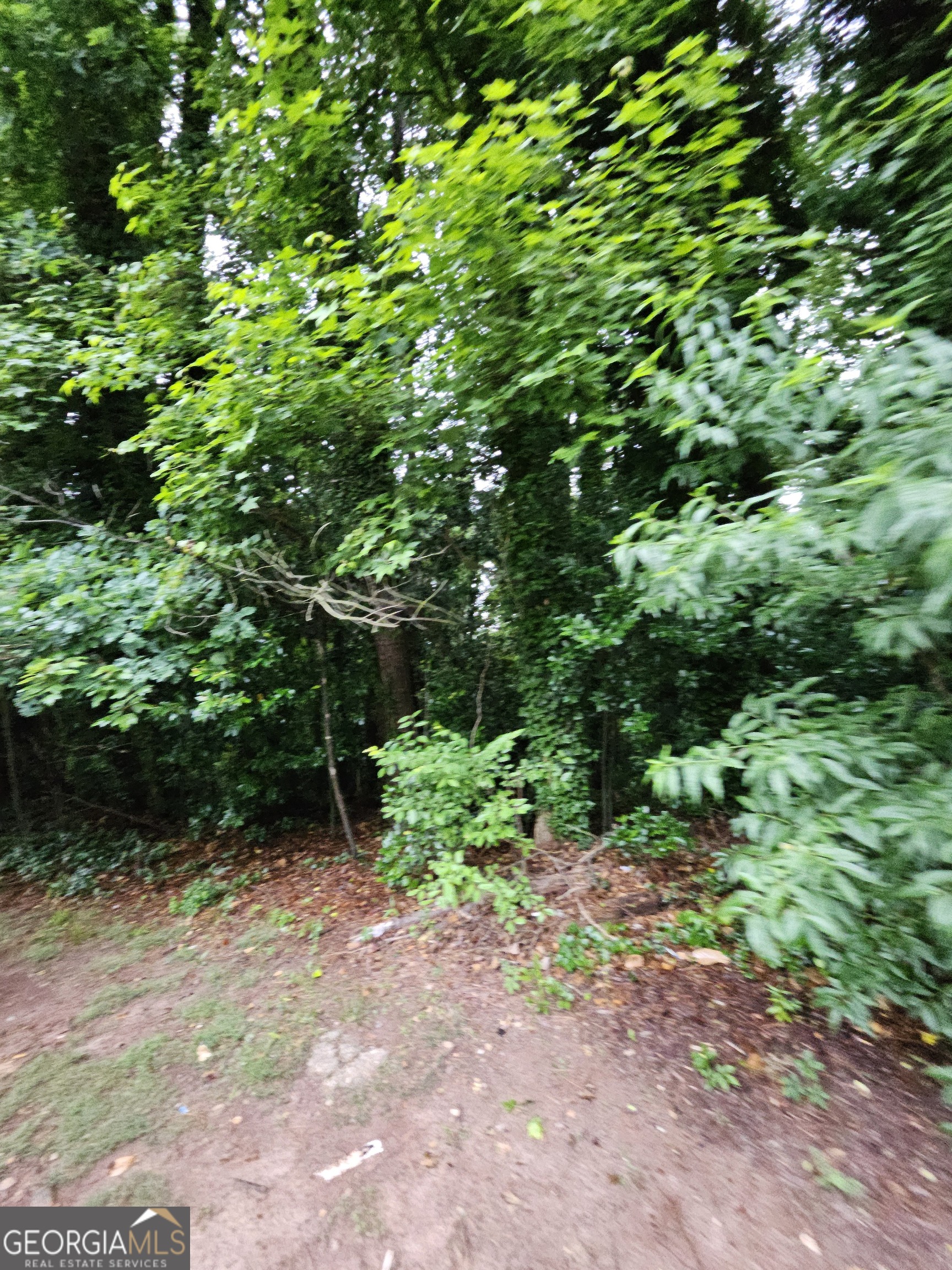 2409 Tarian Drive Property Photo 2
